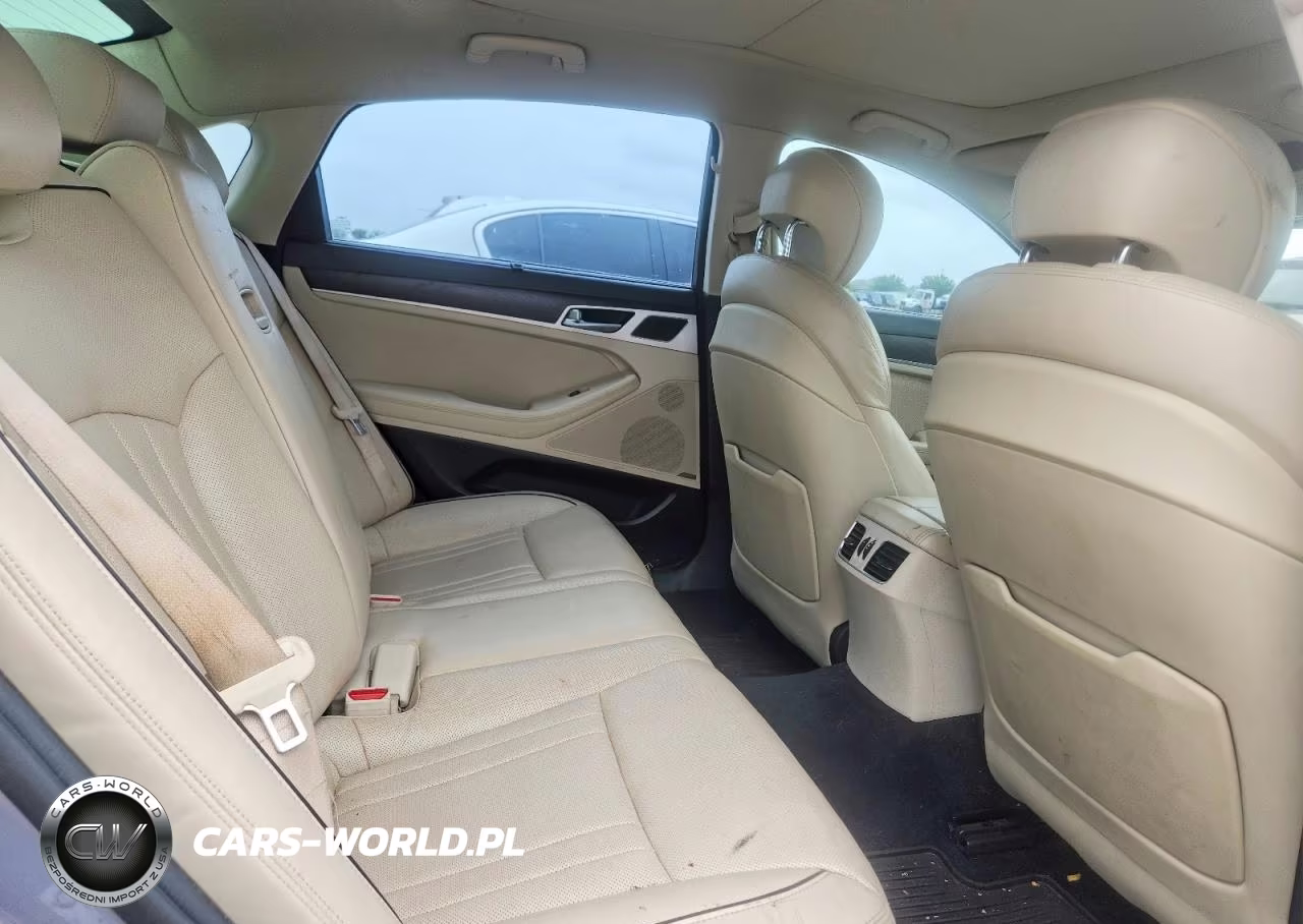 2017 Genesis G80 3.8 VIN:KMHGN4JE2HU187954 - 10