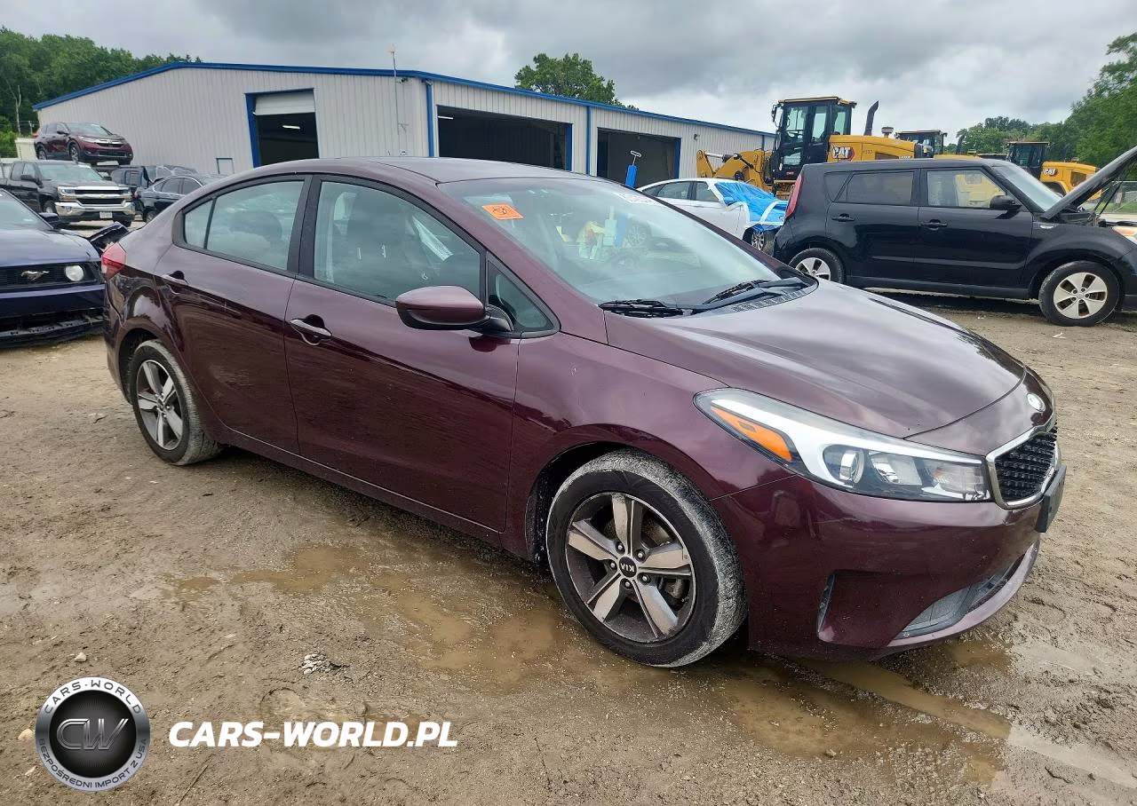 2018 Kia Forte Lx VIN:3KPFL4A77JE196533 - 4