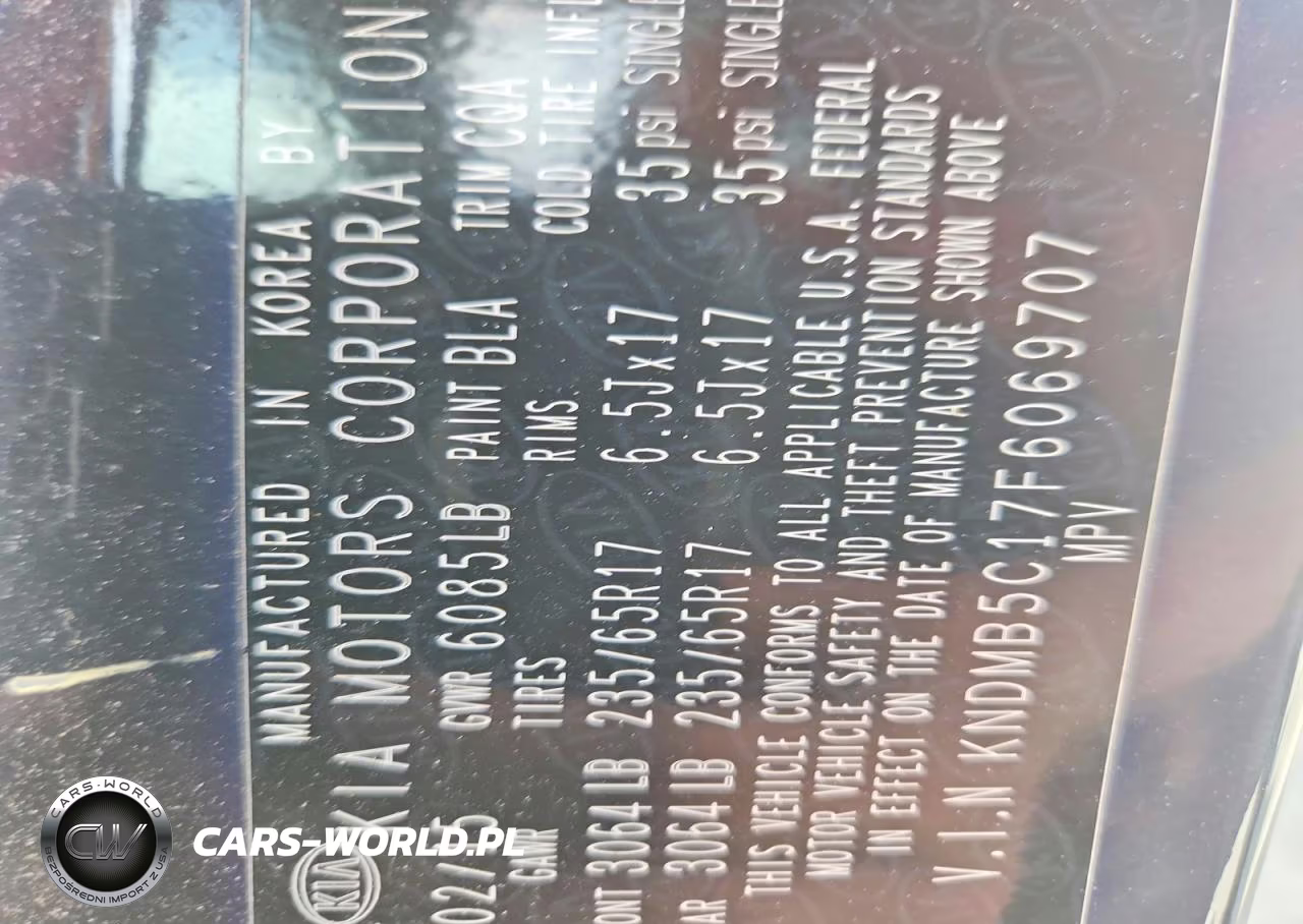 2015 Kia Sedona Lx VIN:KNDMB5C17F6069707 - 13