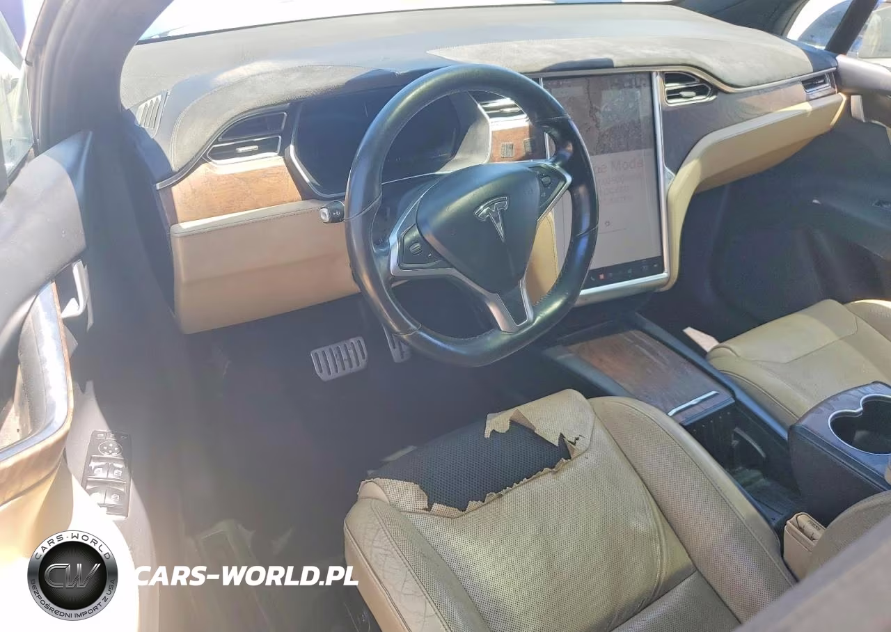 2016 Tesla Model X 75D-P100D-P90D VIN:5YJXCBE4XGF006994 - 8