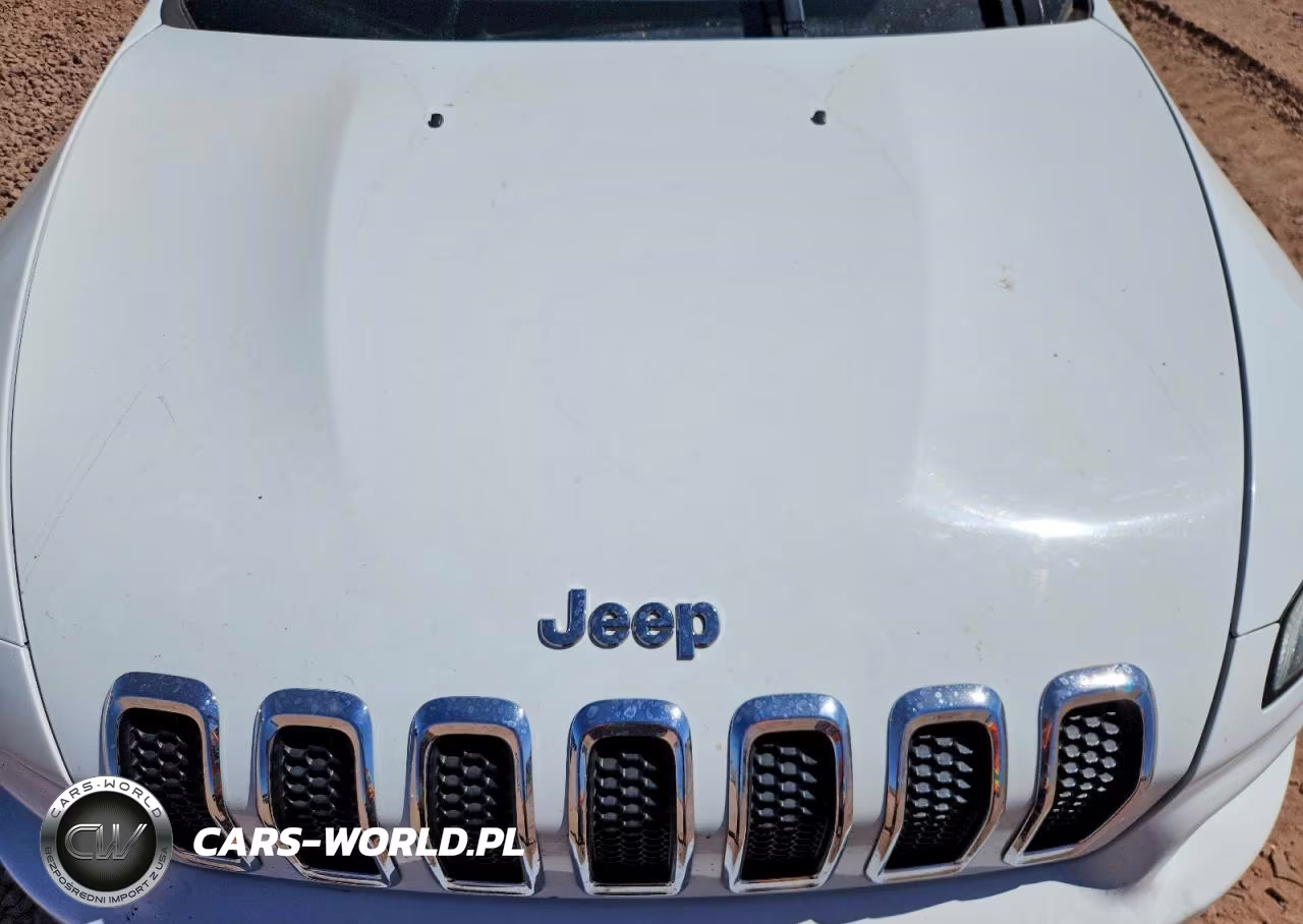 2016 Jeep Cherokee Overland VIN:1C4PJMJS4GW314633 - 12