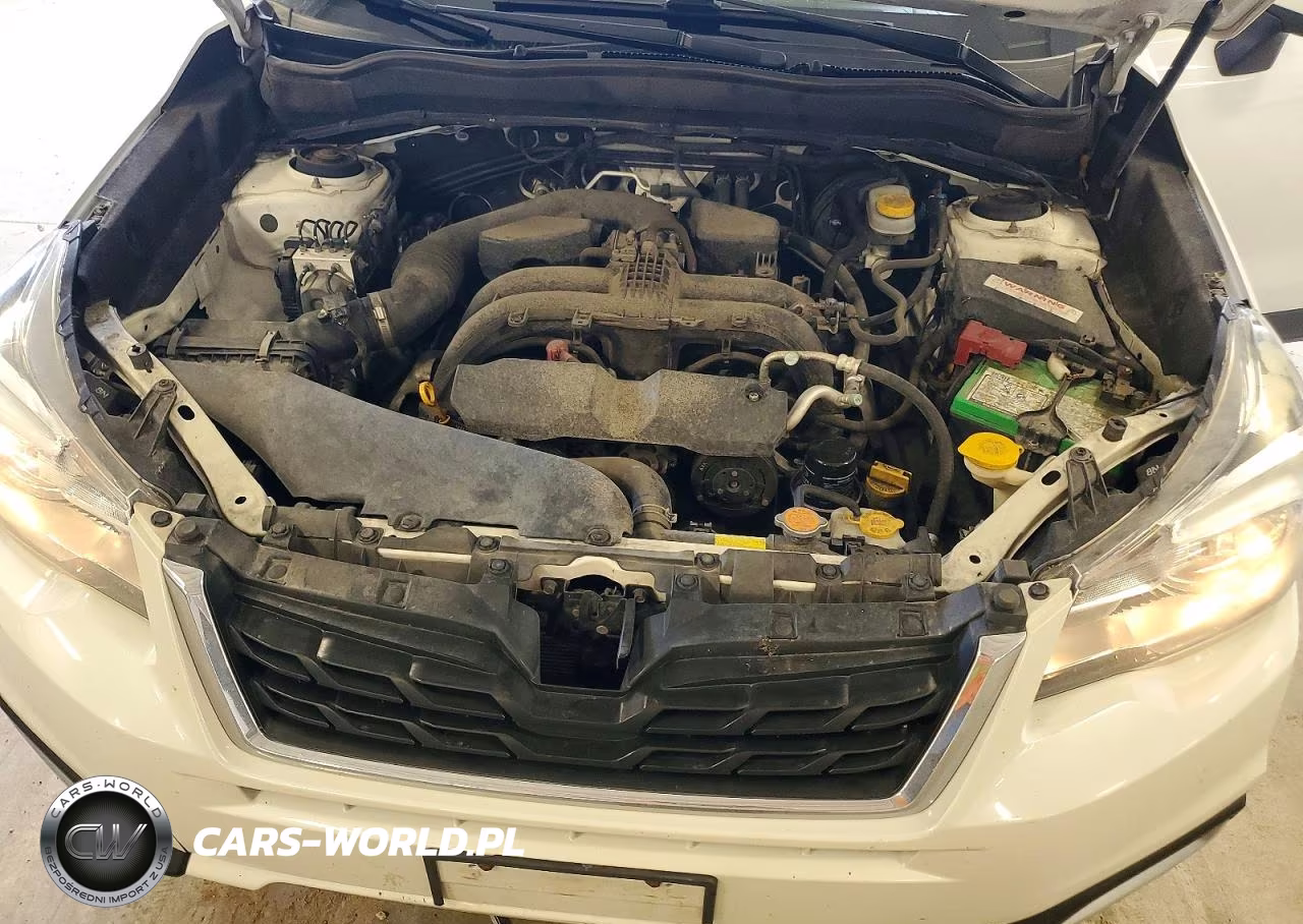 2017 Subaru Forester 2.5I Limited VIN:JF2SJAJC7HH527679 - 12