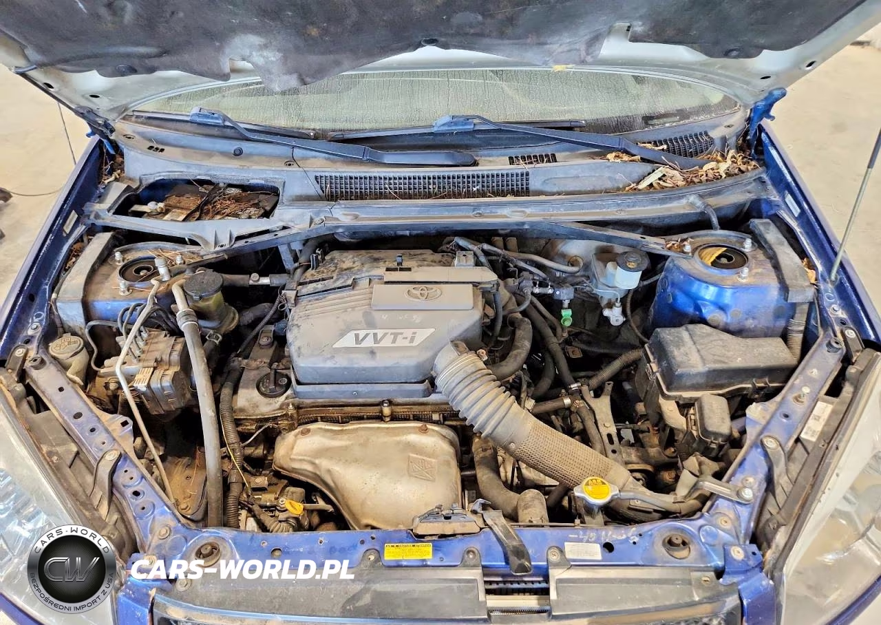 2004 Toyota Rav4 Base VIN:JTEHD20V346018991 - 12