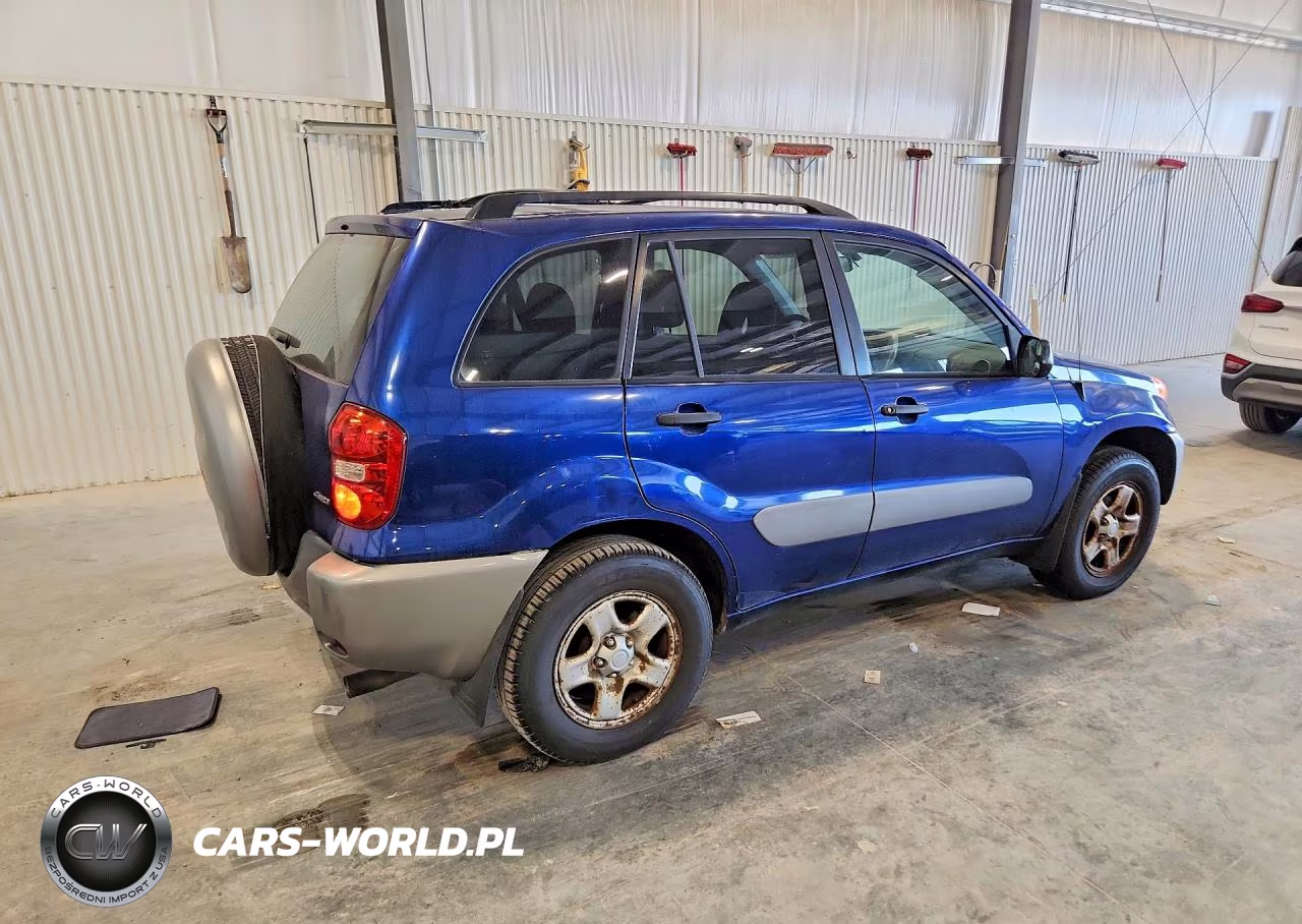 2004 Toyota Rav4 Base VIN:JTEHD20V346018991 - 3