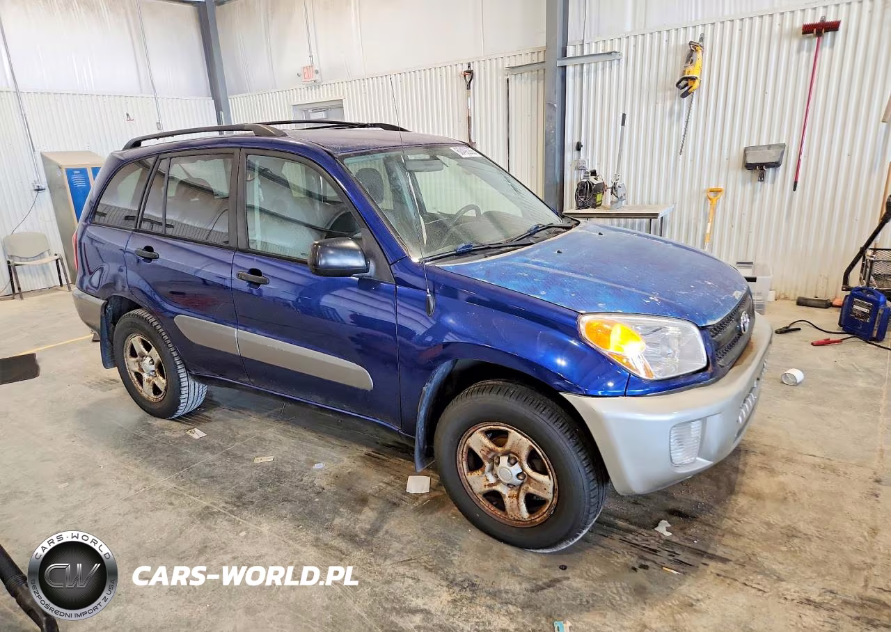 2004 Toyota Rav4 Base VIN:JTEHD20V346018991 - 4