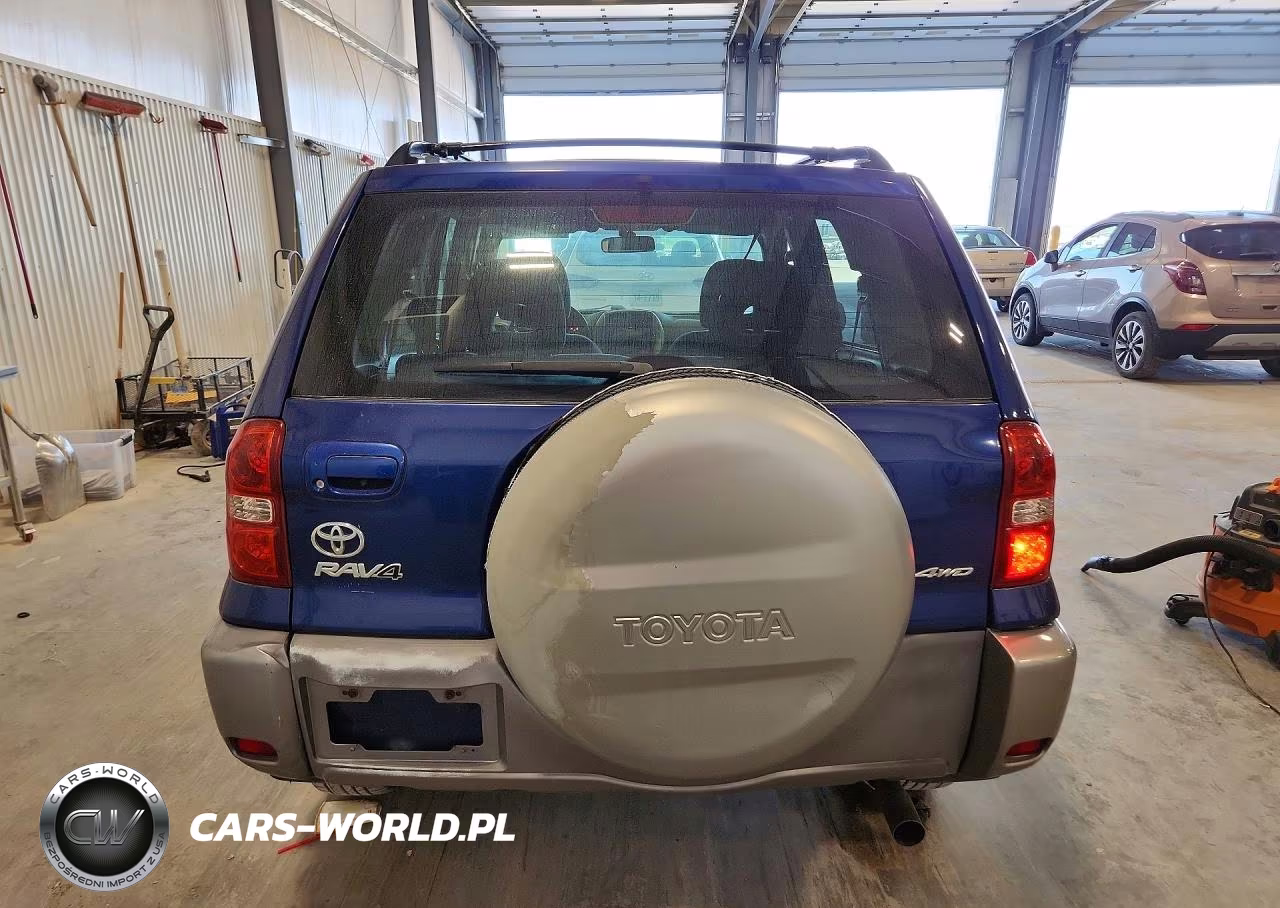 2004 Toyota Rav4 Base VIN:JTEHD20V346018991 - 6