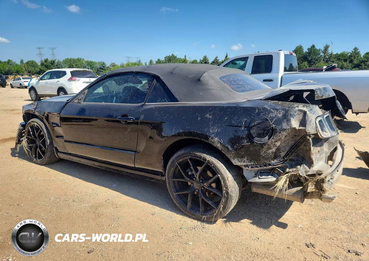 2014 Ford Mustang VIN:1ZVBP8EM0E5306878 - 2