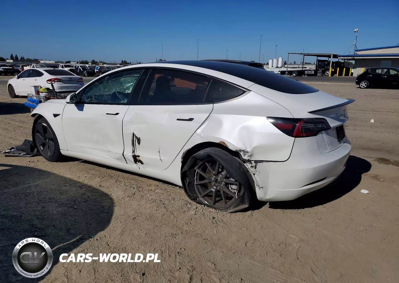 2021 Tesla Model 3 VIN:5YJ3E1EA5MF985585 - 2