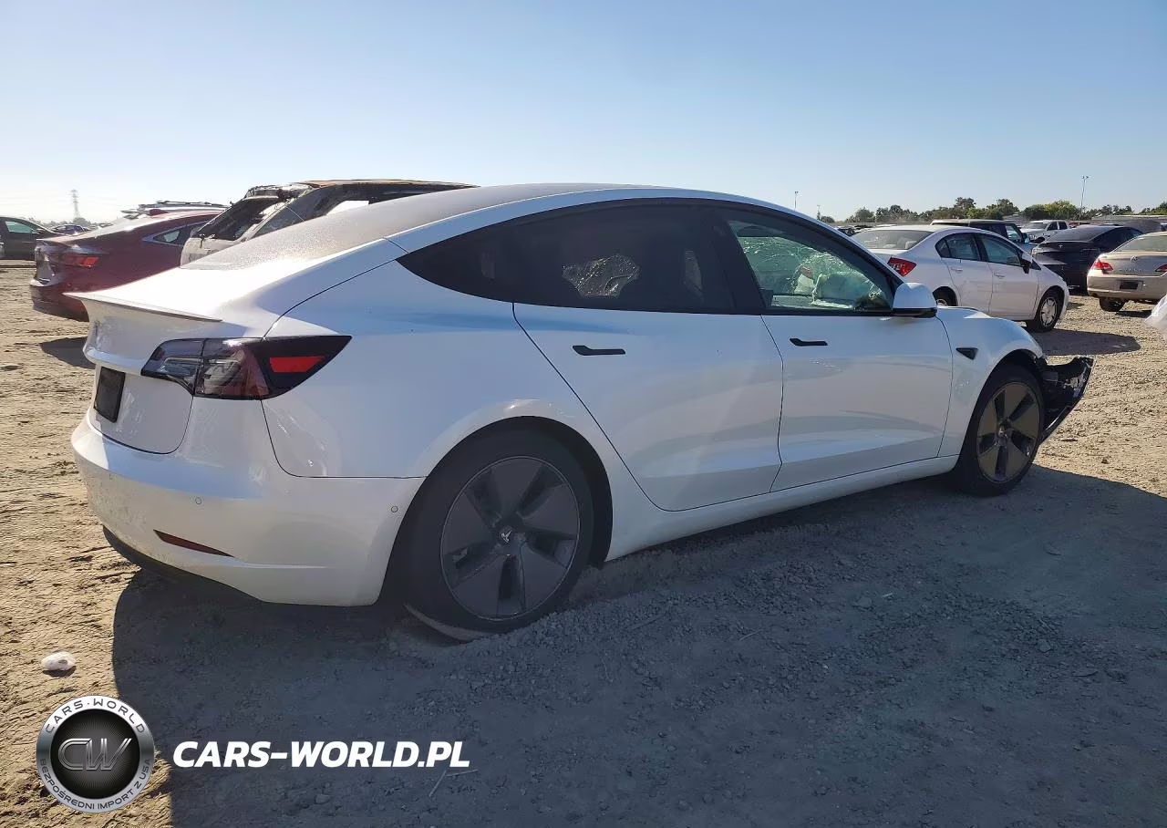 2021 Tesla Model 3 VIN:5YJ3E1EA5MF985585 - 3