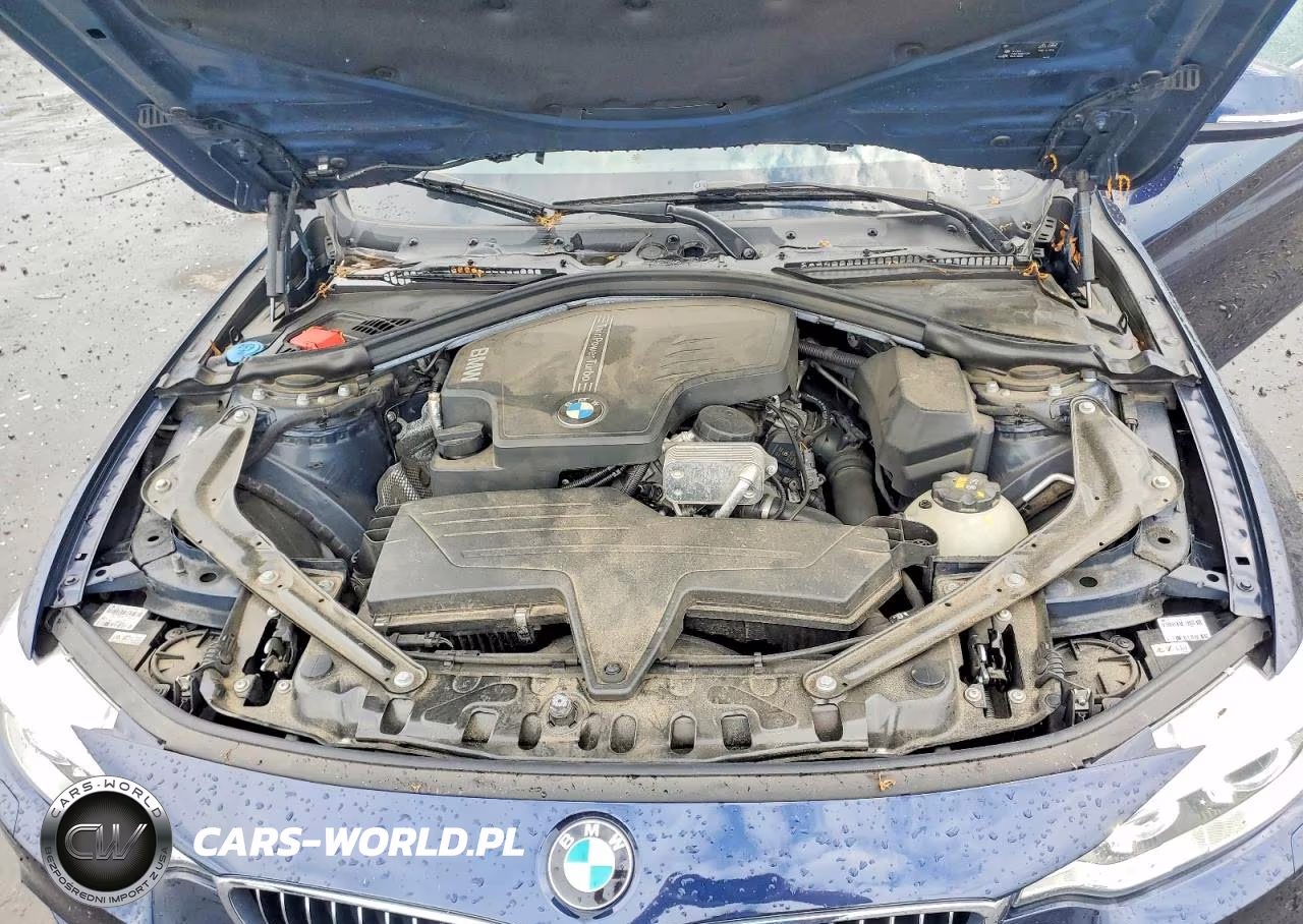 2016 BMW 428 Xi Sulev VIN:WBA3T1C50GP823785 - 11