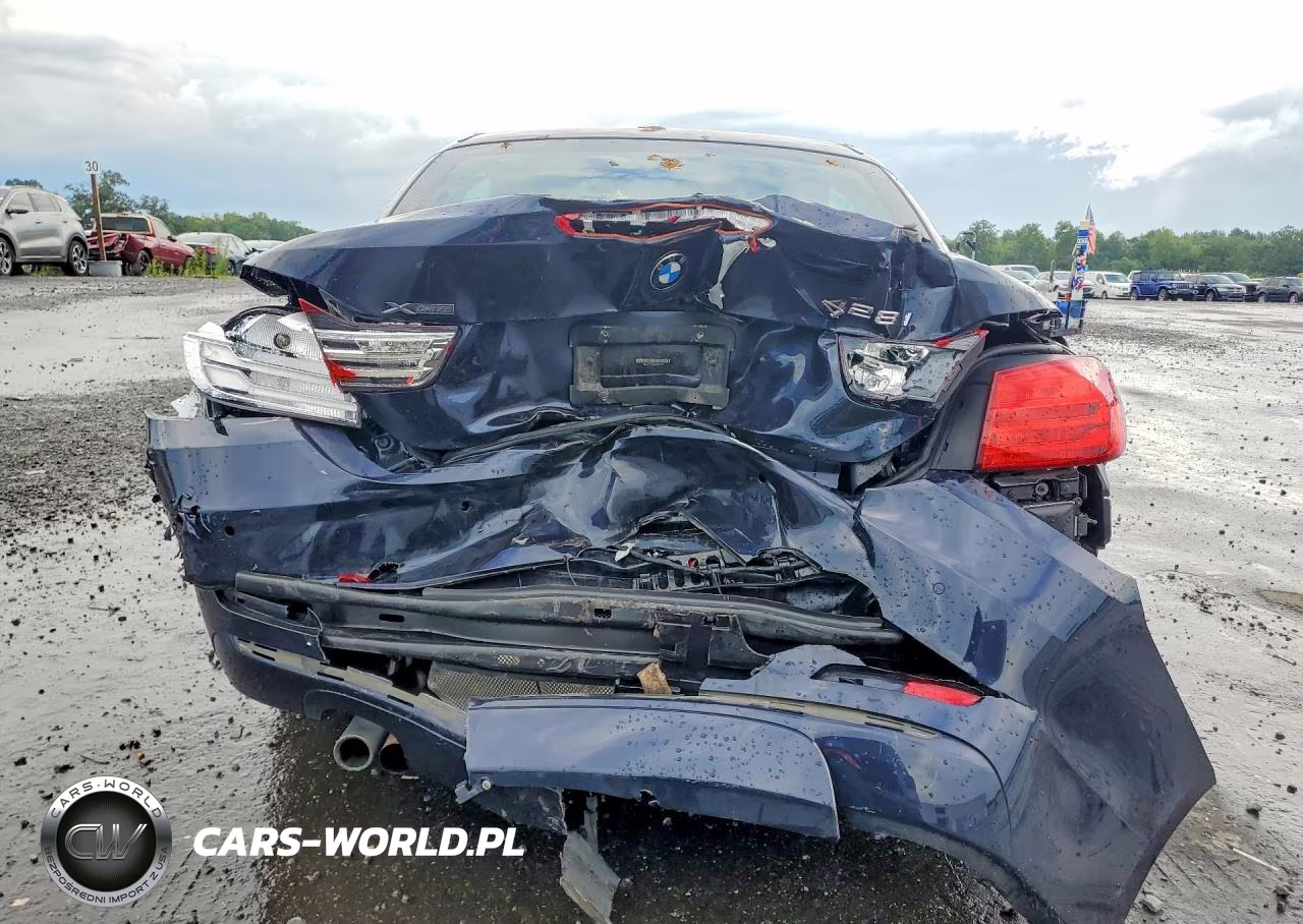2016 BMW 428 Xi Sulev VIN:WBA3T1C50GP823785 - 6