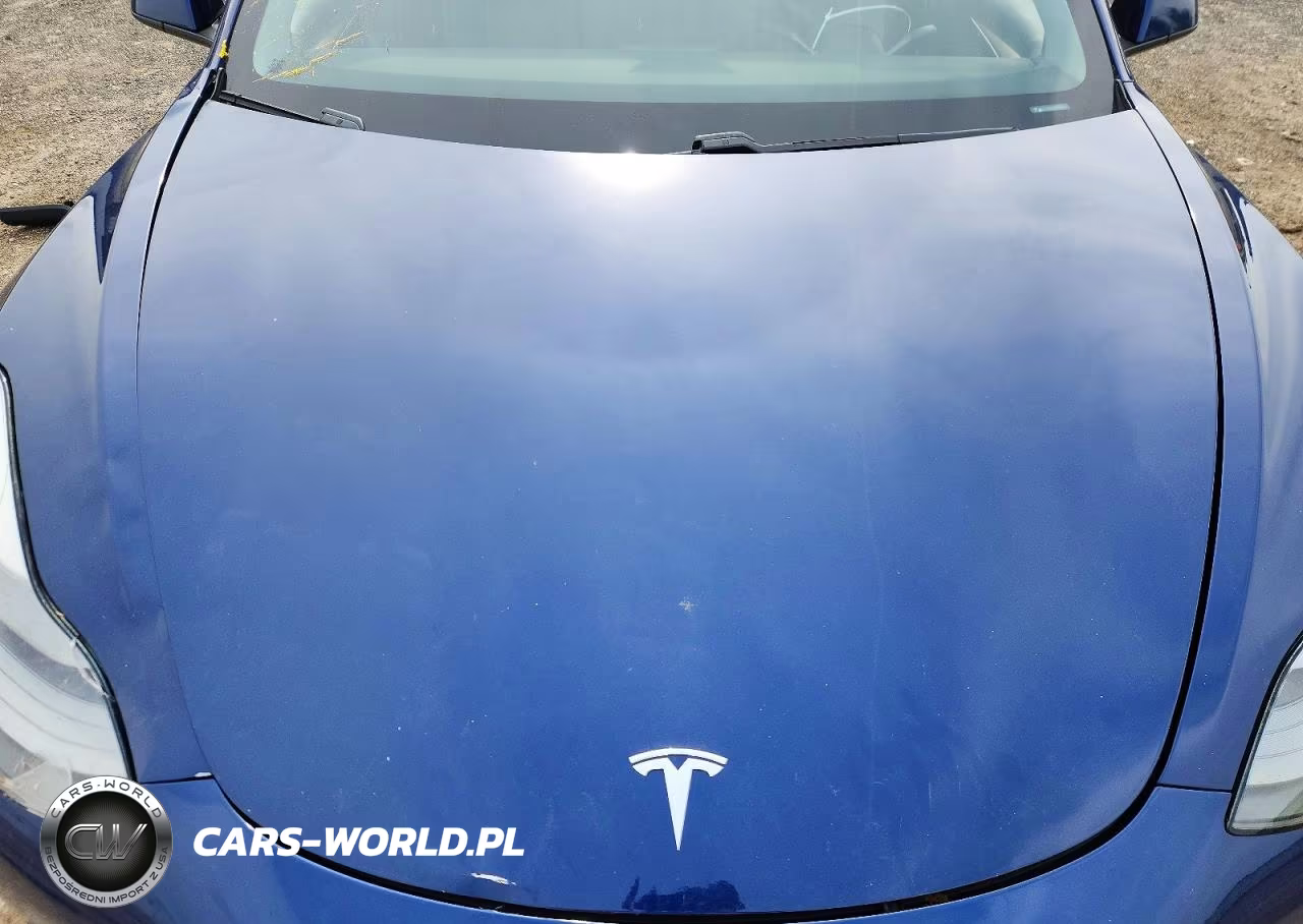 2021 Tesla Model 3 VIN:5YJ3E1EA6MF058076 - 11