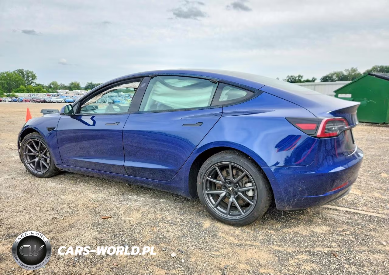 2021 Tesla Model 3 VIN:5YJ3E1EA6MF058076 - 2