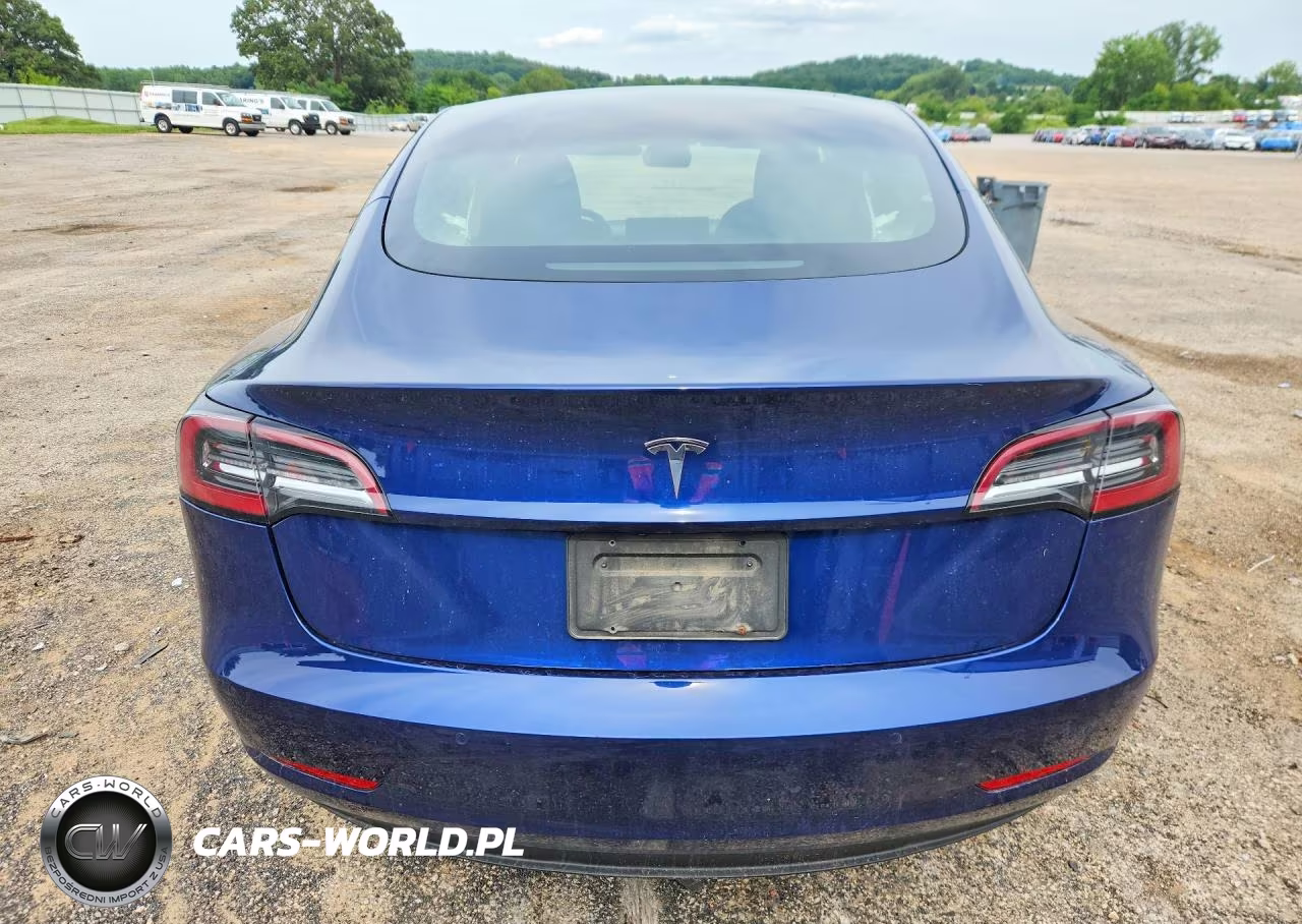 2021 Tesla Model 3 VIN:5YJ3E1EA6MF058076 - 6