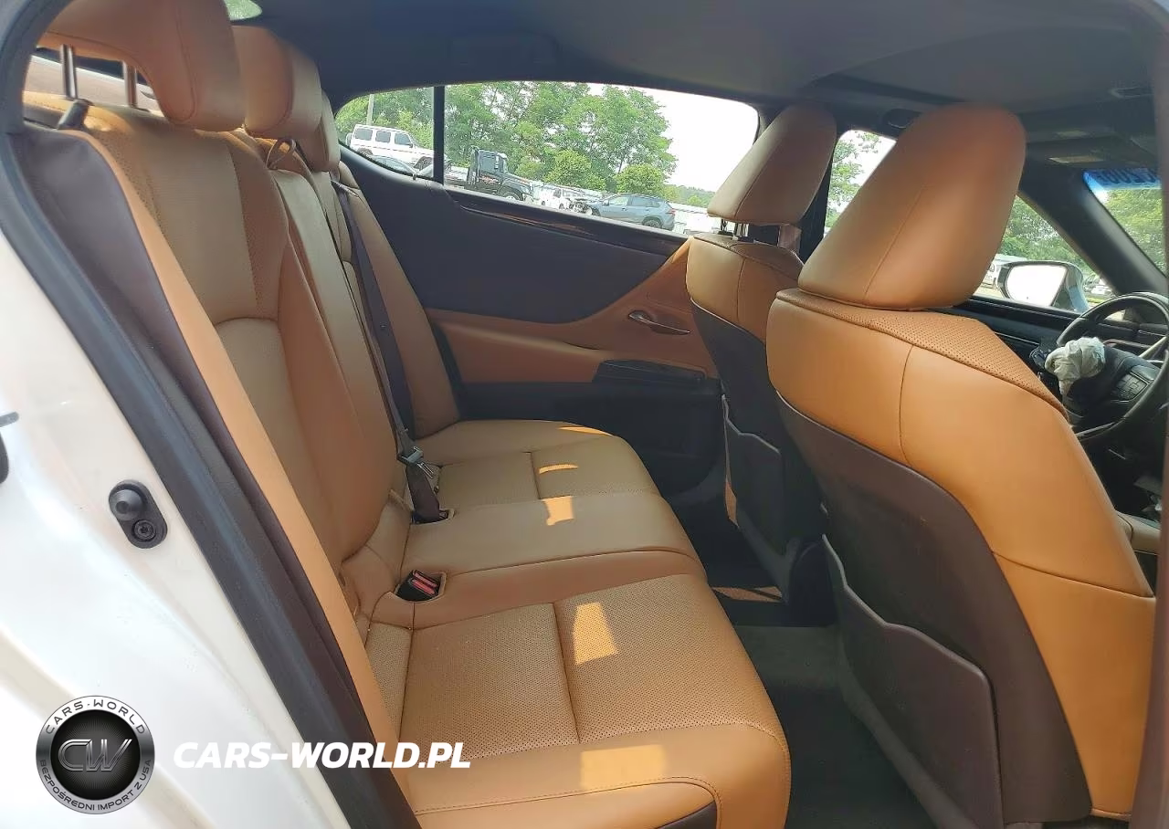 2020 Lexus Es 350 VIN:58ADZ1B1XLU076698 - 10