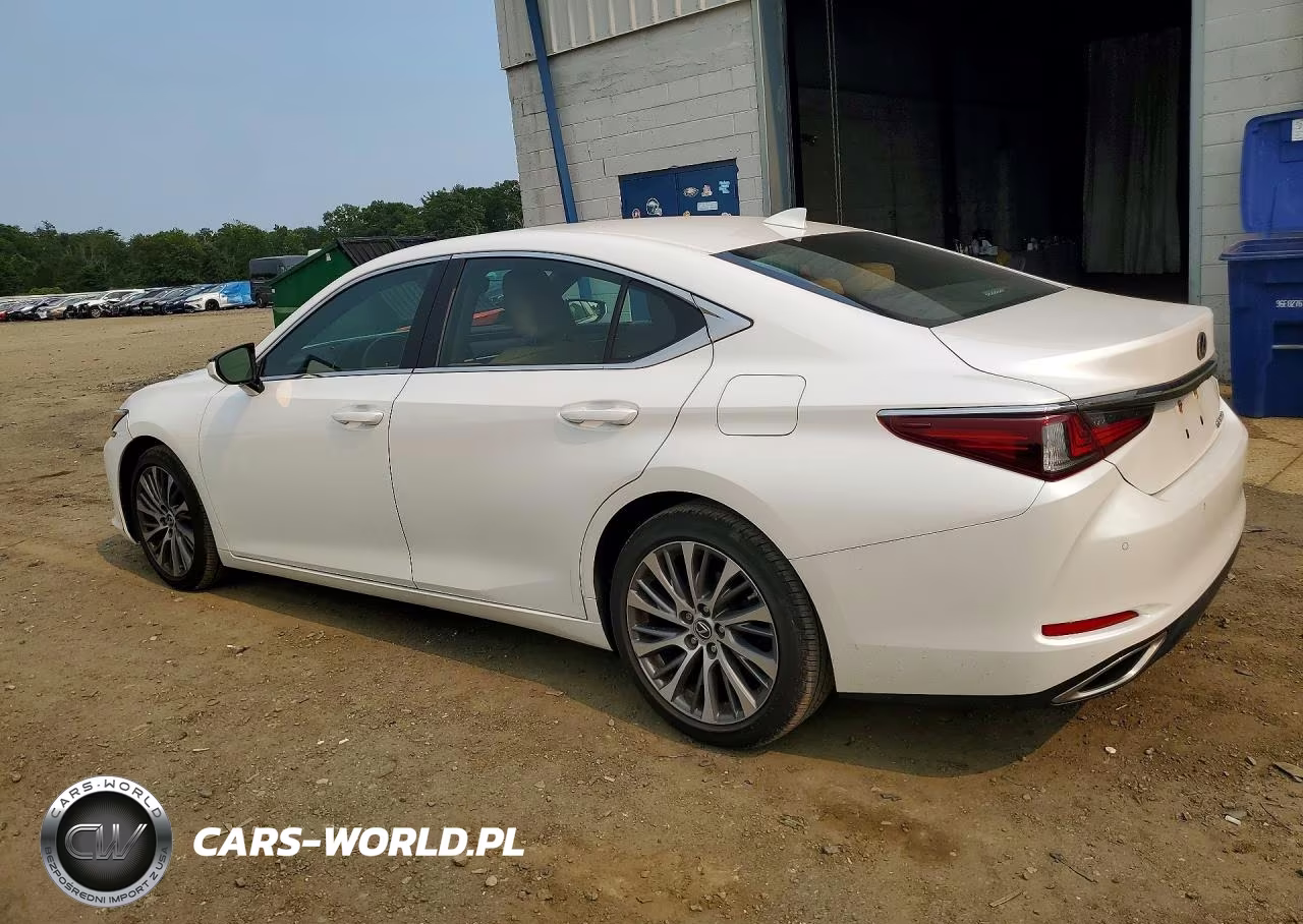2020 Lexus Es 350 VIN:58ADZ1B1XLU076698 - 2