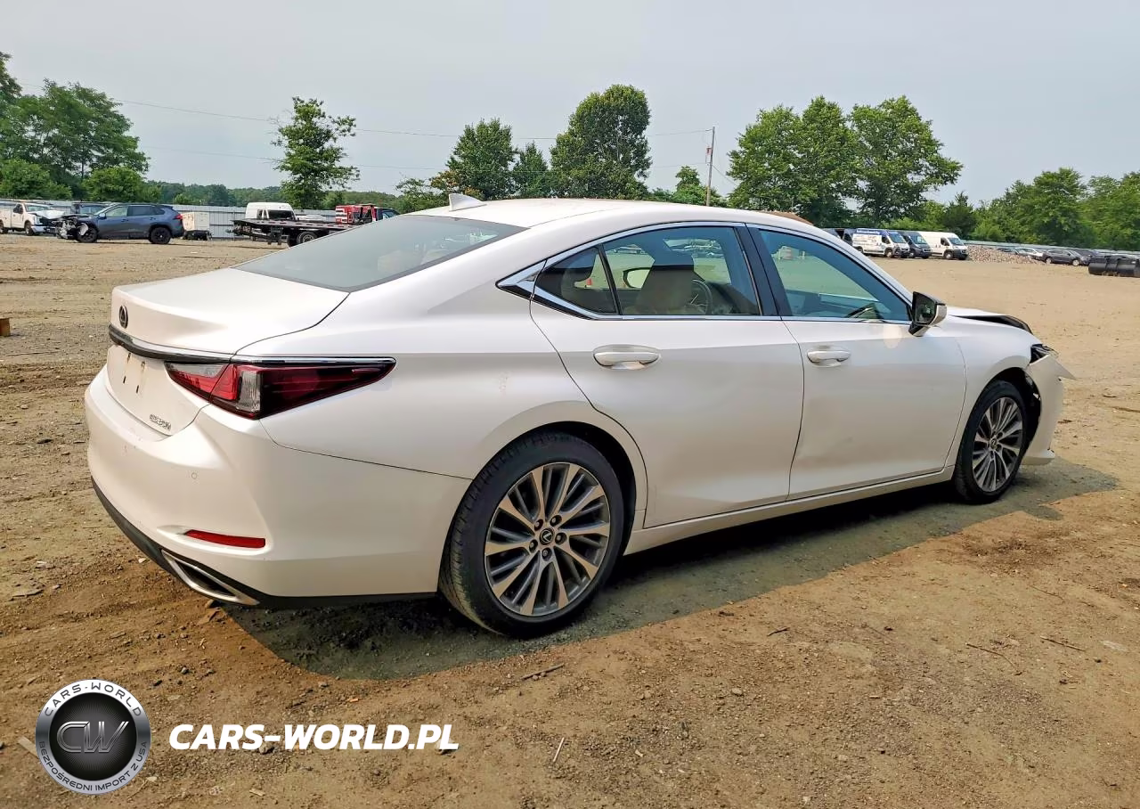 2020 Lexus Es 350 VIN:58ADZ1B1XLU076698 - 3