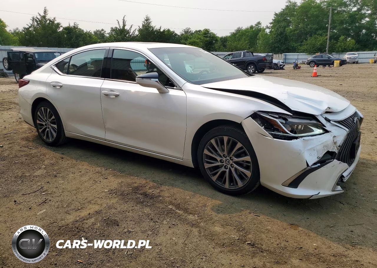 2020 Lexus Es 350 VIN:58ADZ1B1XLU076698 - 4