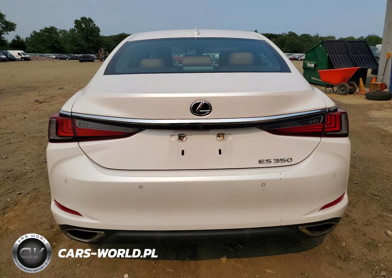 2020 Lexus Es 350 VIN:58ADZ1B1XLU076698 - 6