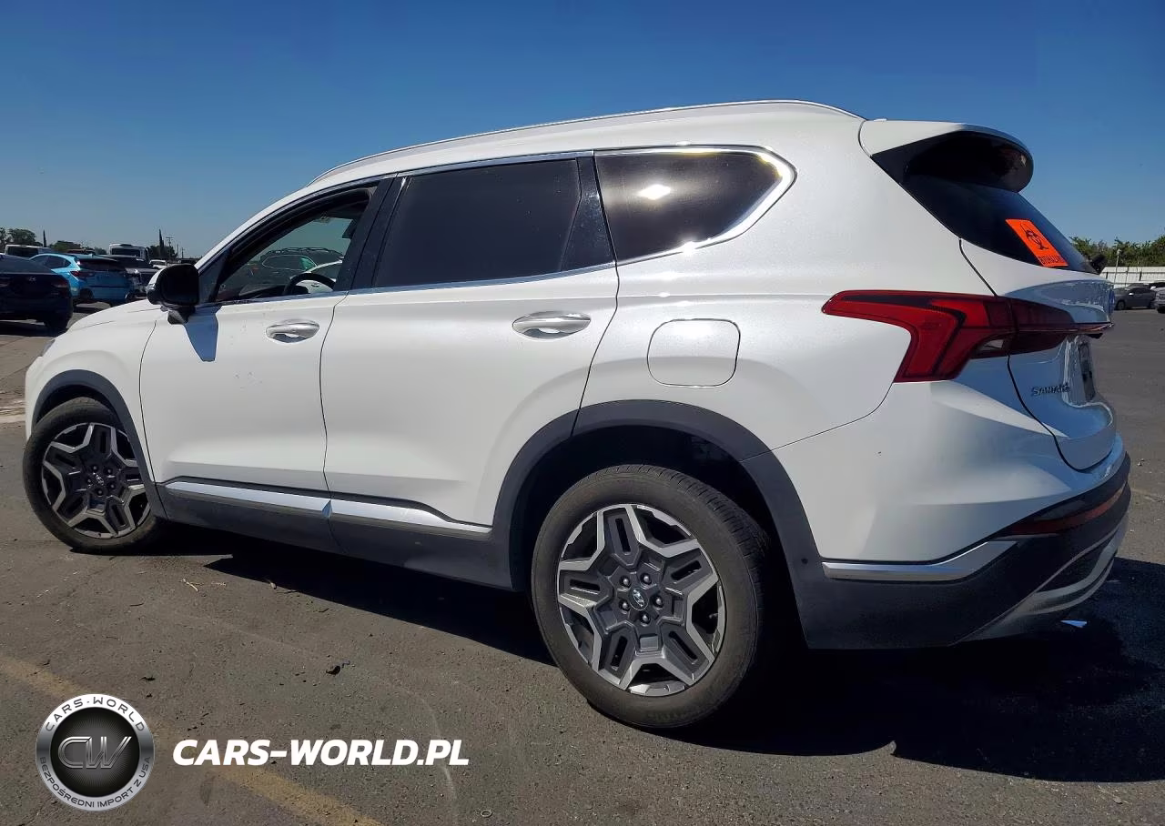 2021 Hyundai Santa Fe Limited VIN:5NMS44ALXMH324415 - 2