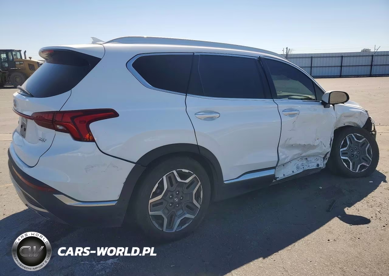 2021 Hyundai Santa Fe Limited VIN:5NMS44ALXMH324415 - 3