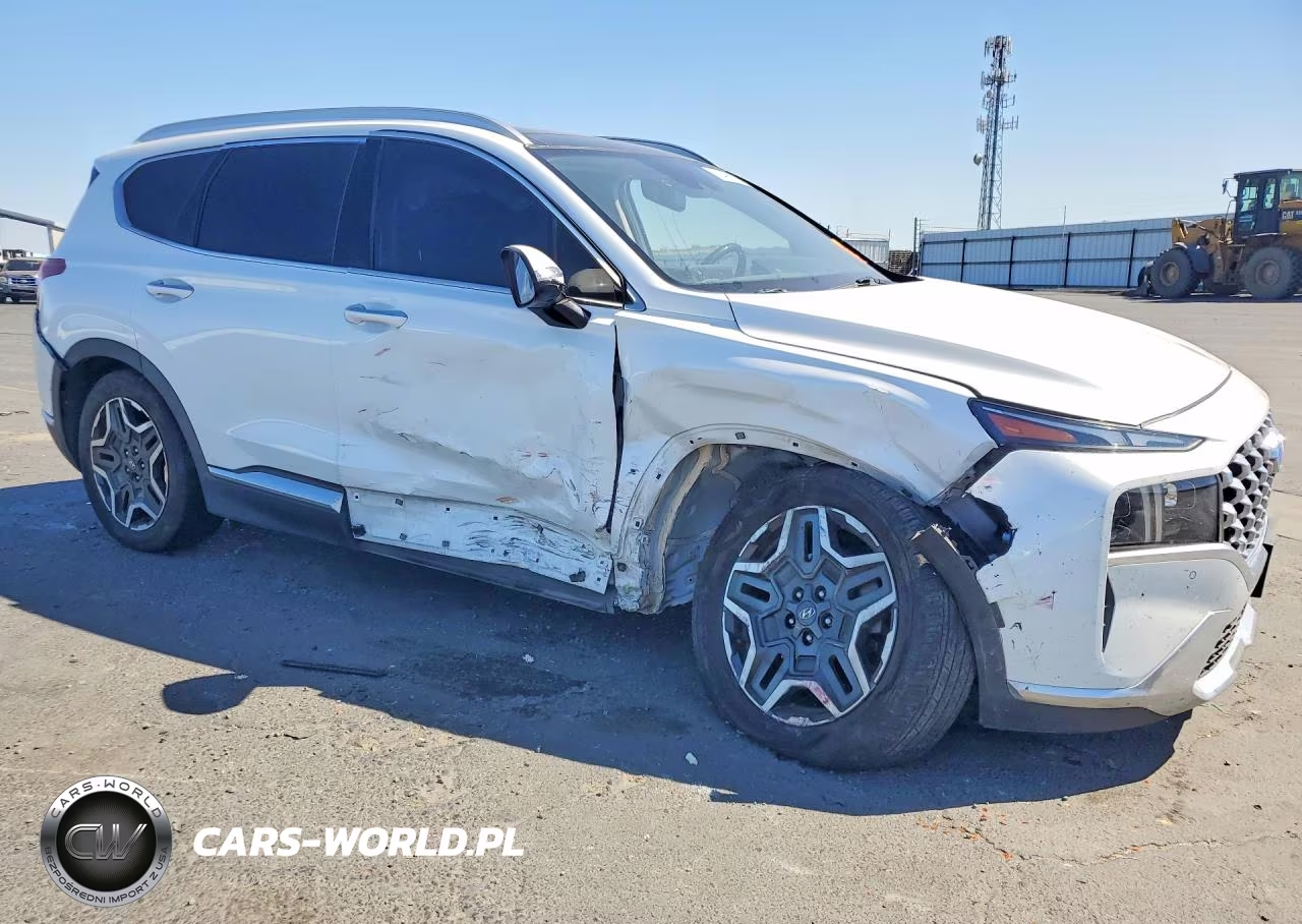 2021 Hyundai Santa Fe Limited VIN:5NMS44ALXMH324415 - 4