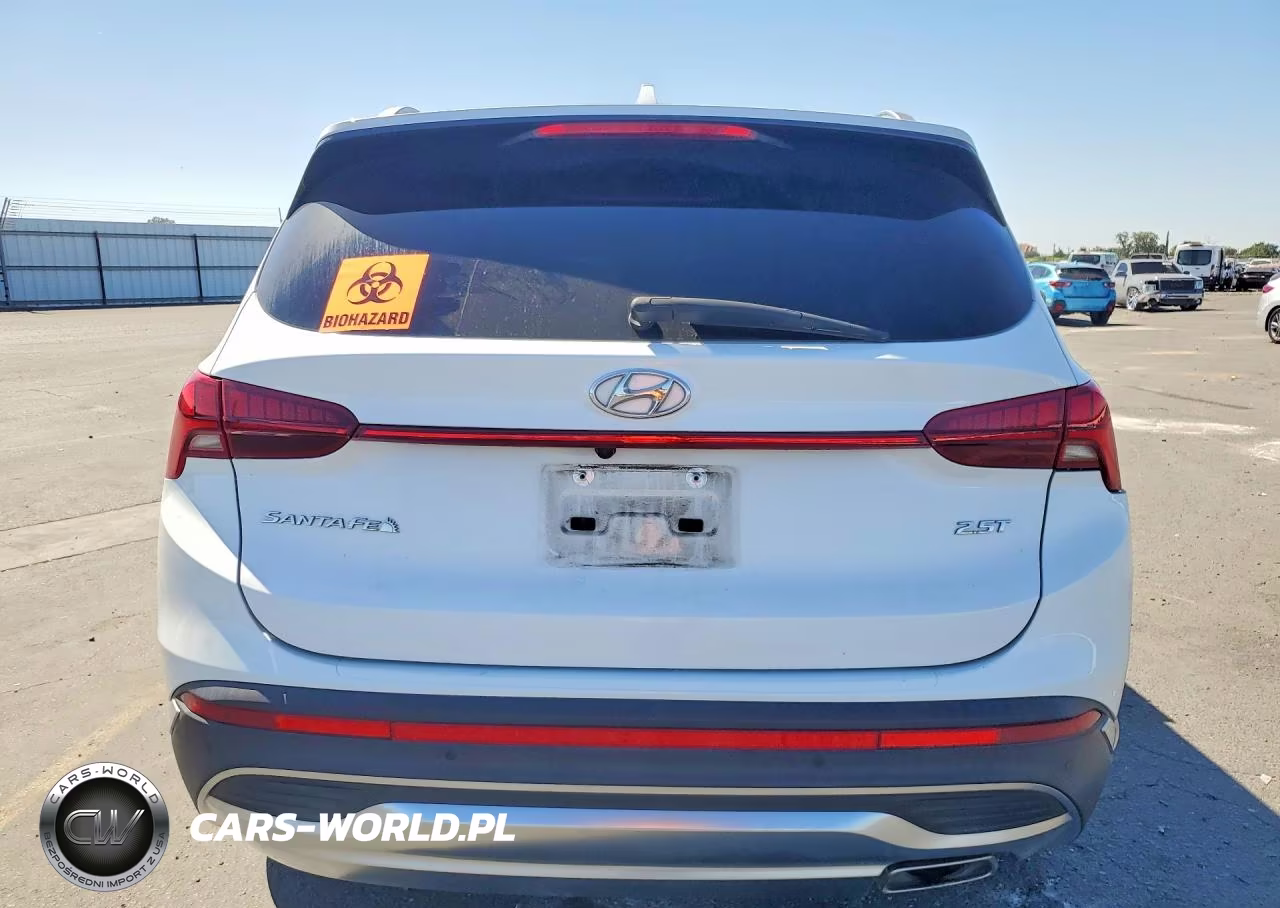 2021 Hyundai Santa Fe Limited VIN:5NMS44ALXMH324415 - 6