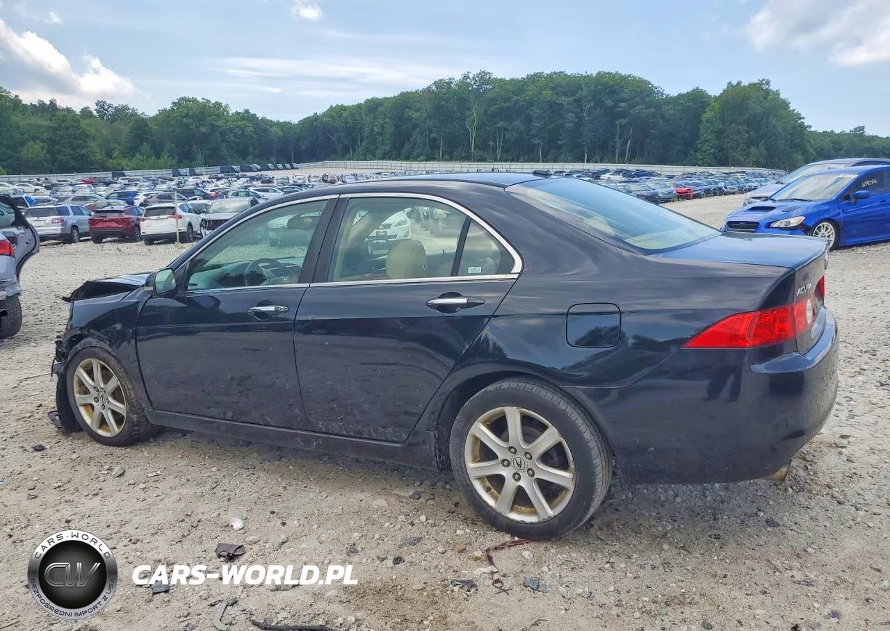 2005 Acura Tsx VIN:JH4CL96995C020038 - 2
