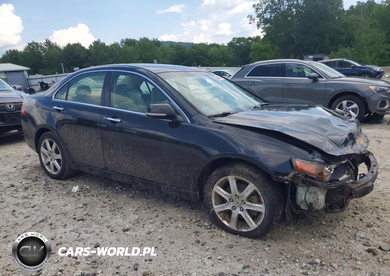 2005 Acura Tsx VIN:JH4CL96995C020038 - 4