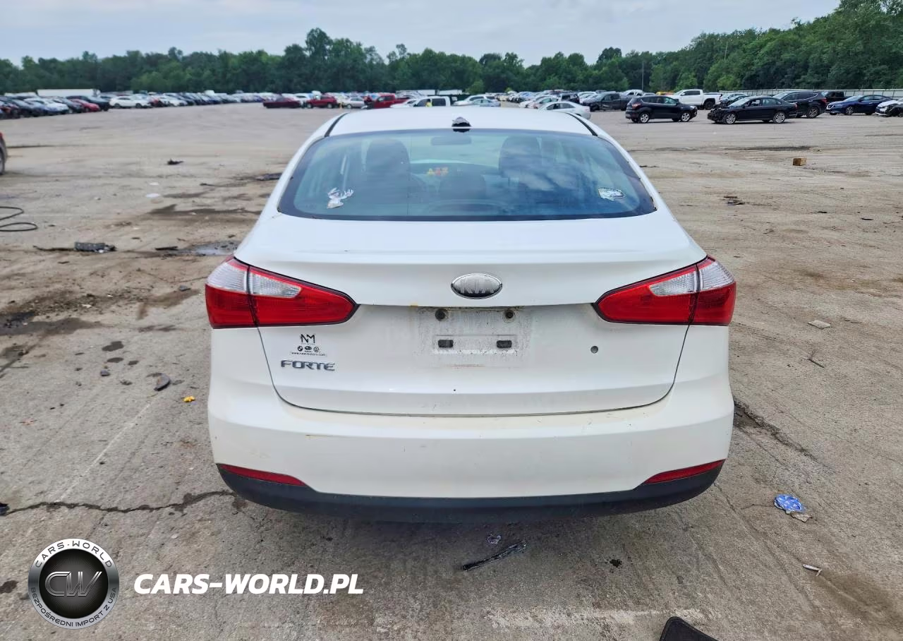 2014 Kia Forte Lx VIN:KNAFK4A62E5056351 - 6