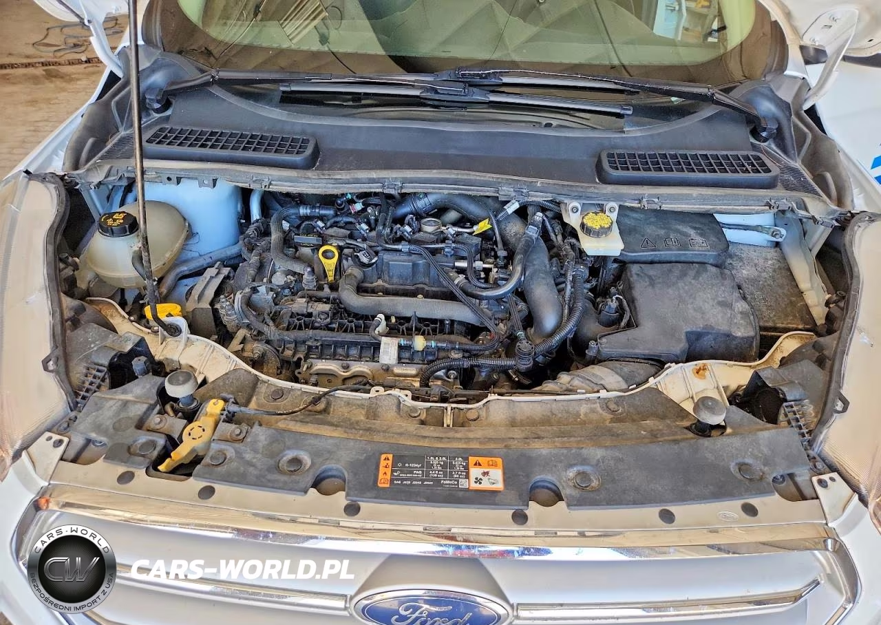 2019 Ford Escape Se VIN:1FMCU0GD7KUB58613 - 11