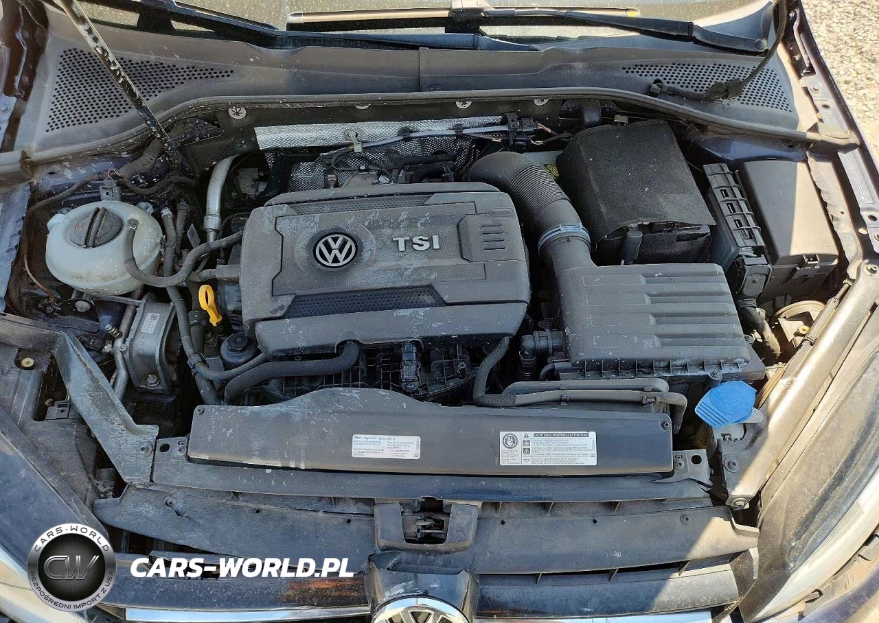 2017 Volkswagen Golf S VIN:3VW217AU7HM013172 - 11