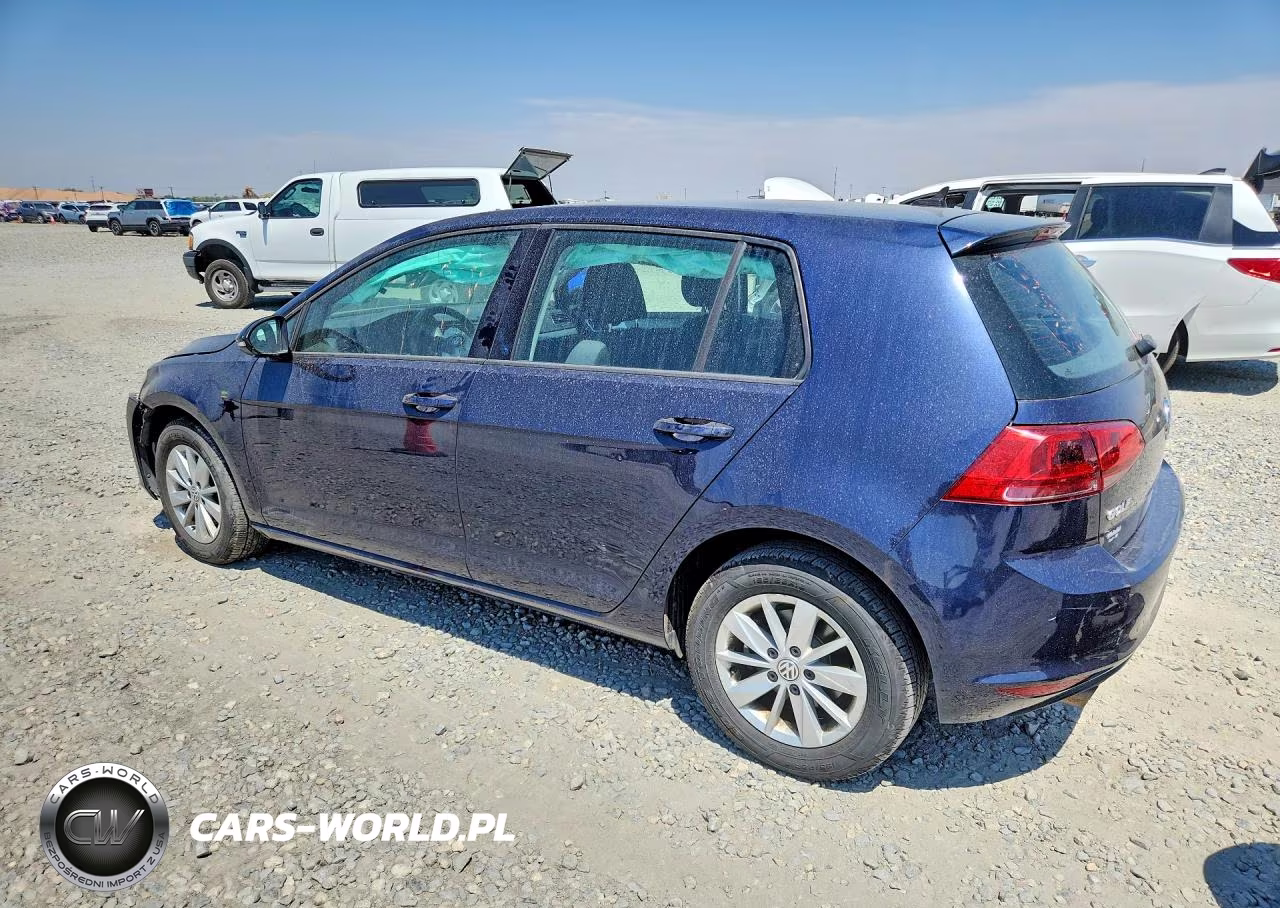 2017 Volkswagen Golf S VIN:3VW217AU7HM013172 - 2