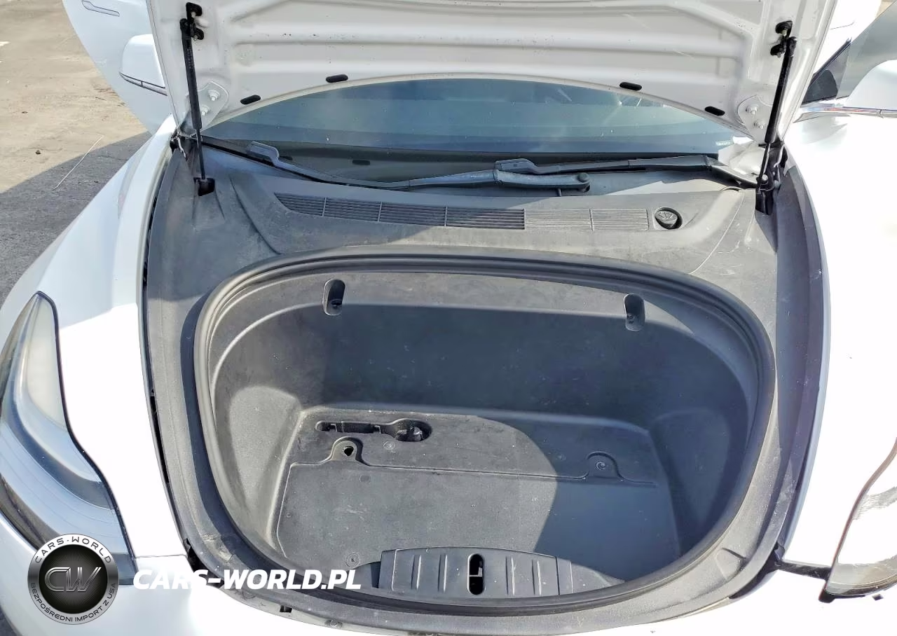 2020 Tesla Model 3 VIN:5YJ3E1EA2LF632056 - 11
