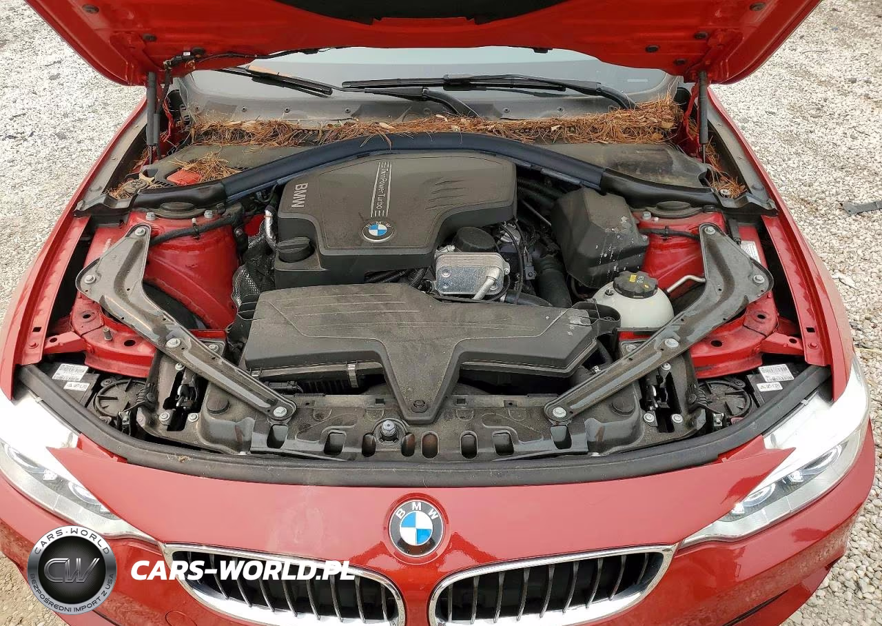 2015 BMW 428 Xi Sulev VIN:WBA3T1C51FP820327 - 11