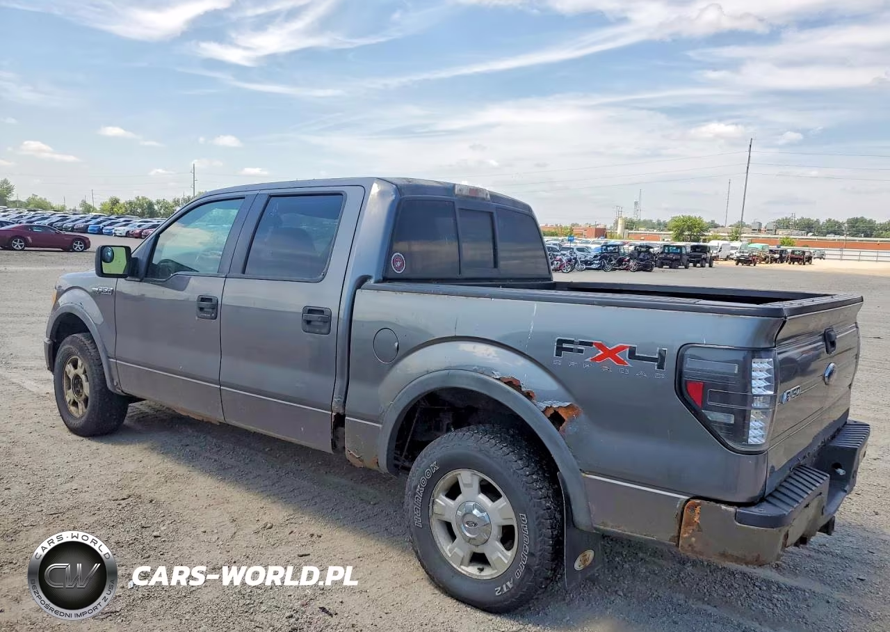 2010 Ford F150 Supercrew VIN:1FTFW1EV9AFD95099 - 2