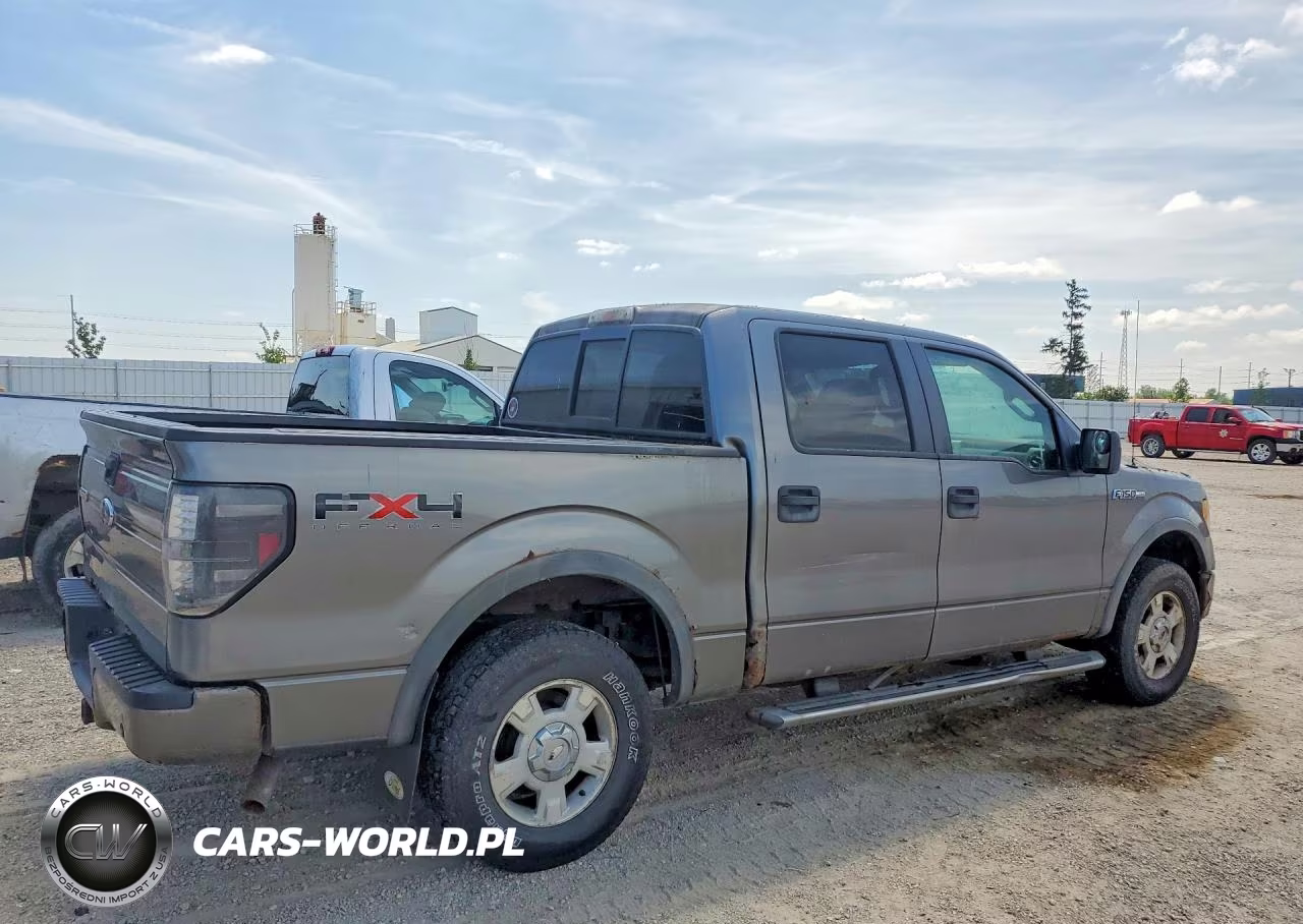2010 Ford F150 Supercrew VIN:1FTFW1EV9AFD95099 - 3