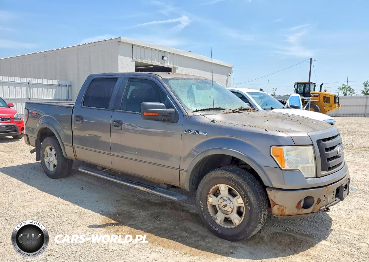 2010 Ford F150 Supercrew VIN:1FTFW1EV9AFD95099 - 4