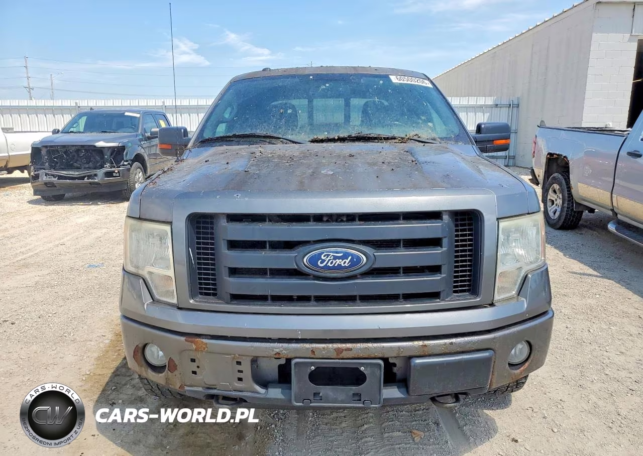 2010 Ford F150 Supercrew VIN:1FTFW1EV9AFD95099 - 5