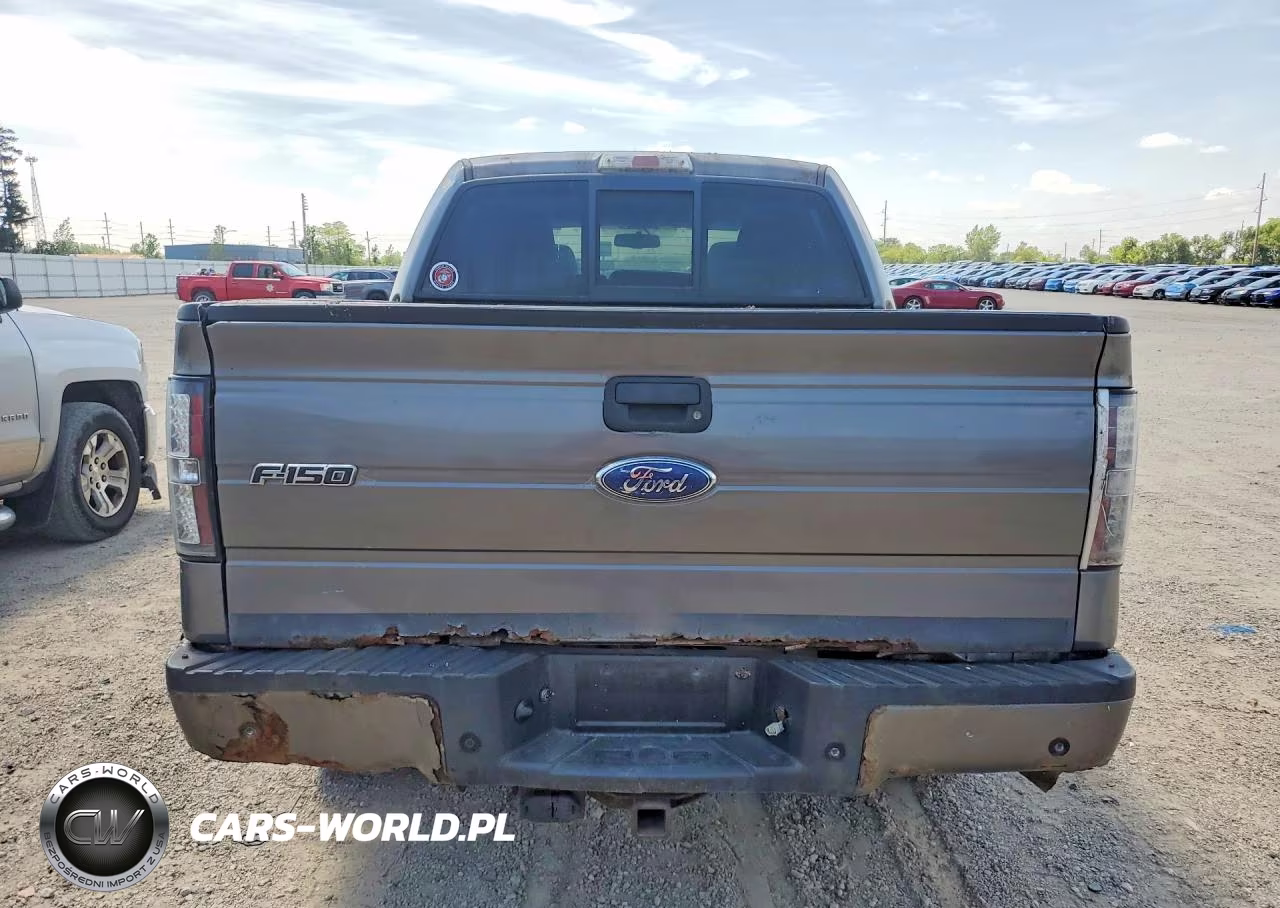 2010 Ford F150 Supercrew VIN:1FTFW1EV9AFD95099 - 6