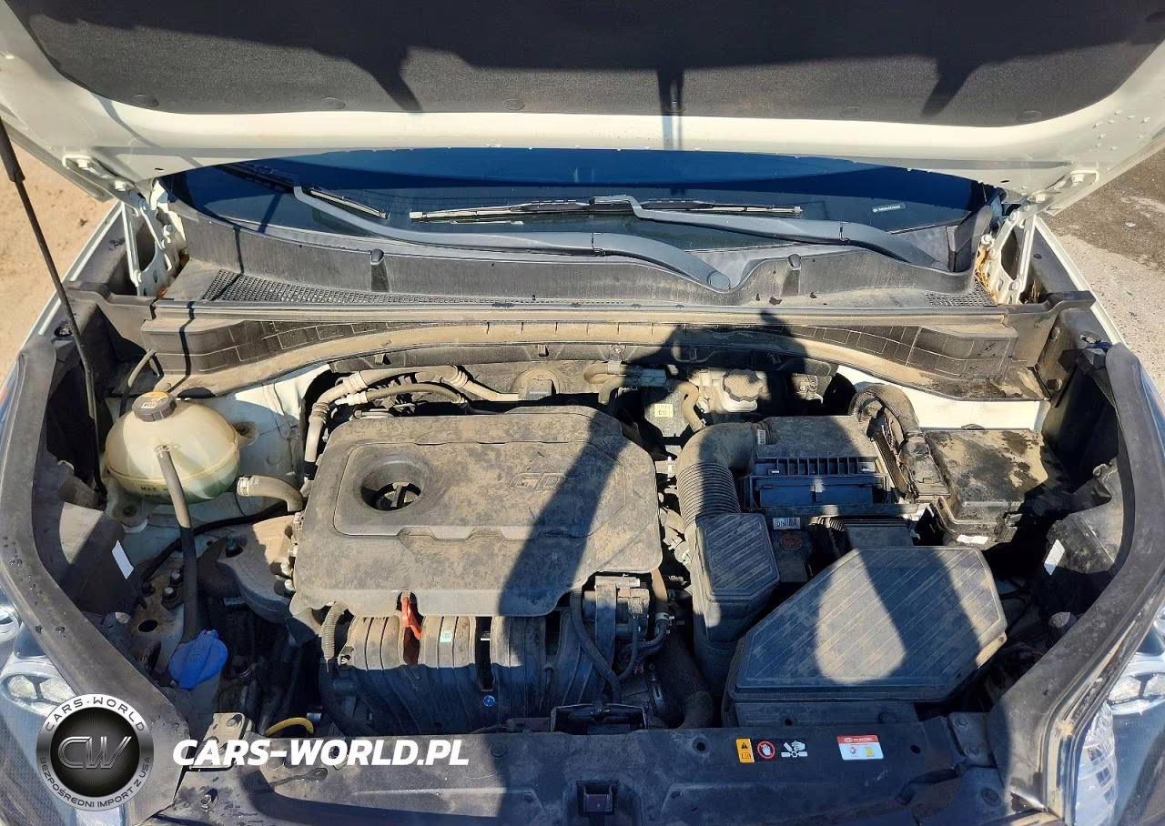 2020 Kia Sportage Lx VIN:KNDPM3AC8L7641552 - 12