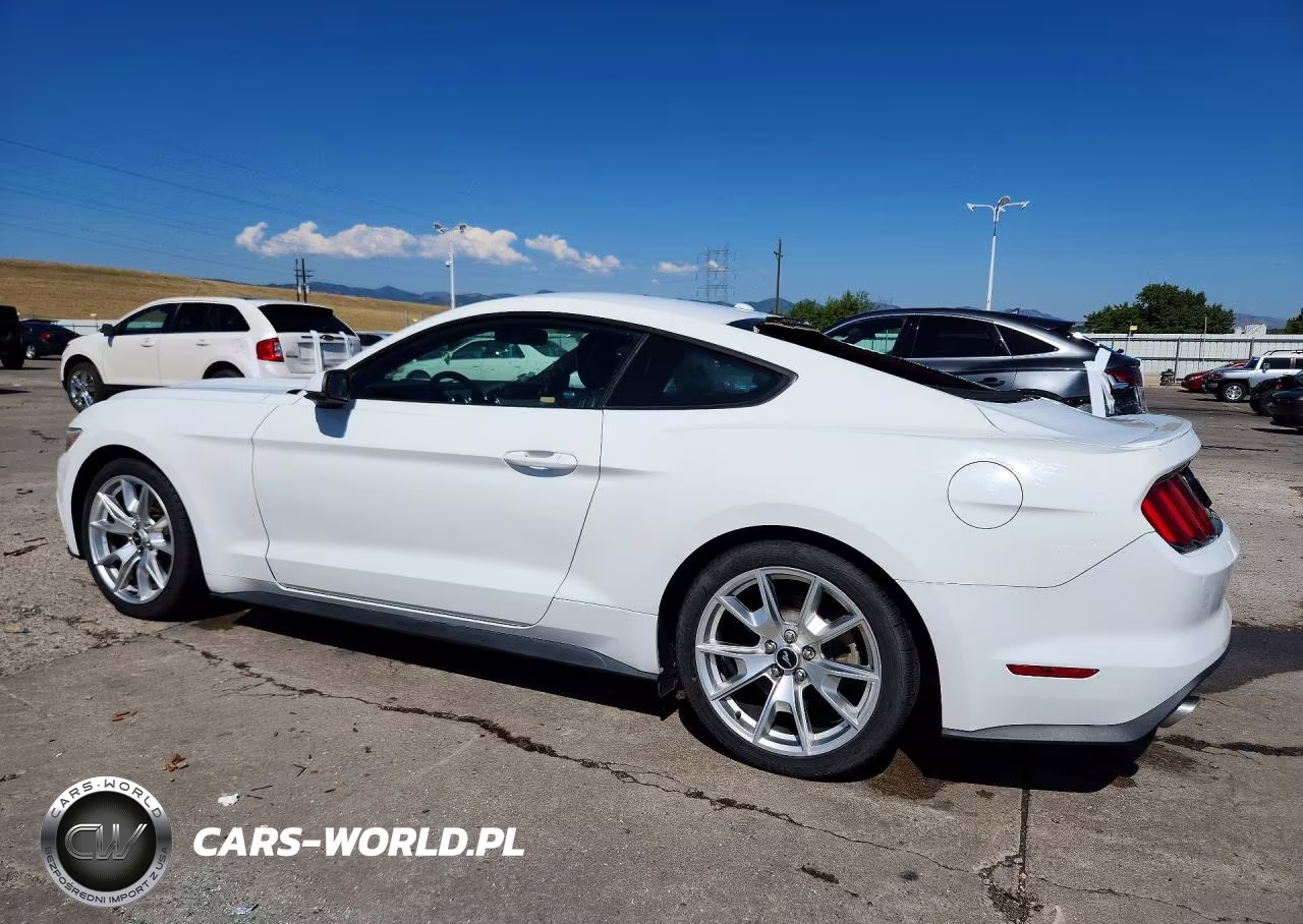 2015 Ford Mustang VIN:1FA6P8THXF5310406 - 2