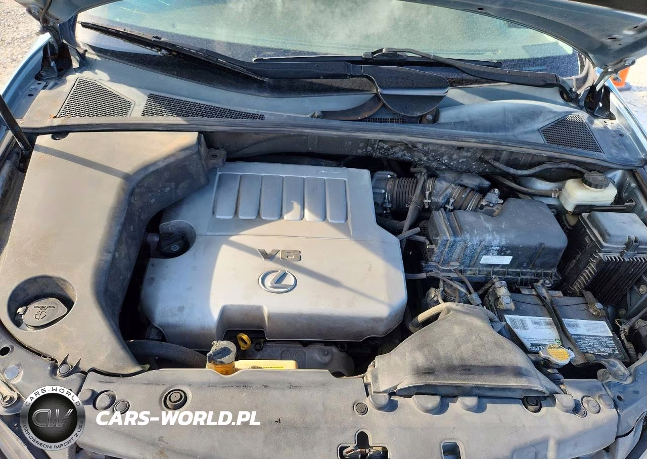 2007 Lexus Rx 350 VIN:2T2GK31U67C010023 - 11