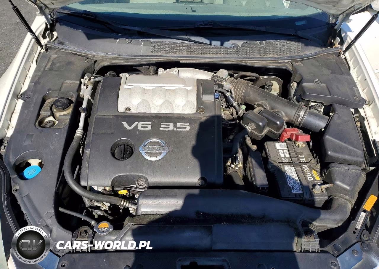 2004 Nissan Maxima 3.5 Se VIN:1N4BA41E94C833054 - 11