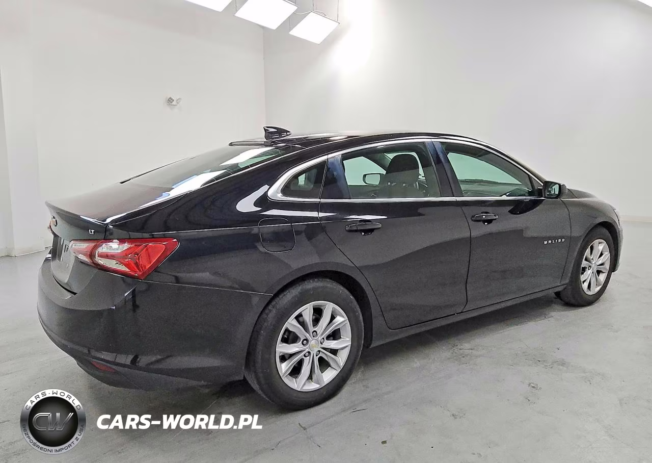 2019 Chevrolet Malibu Lt VIN:1G1ZD5ST6KF155189 - 3