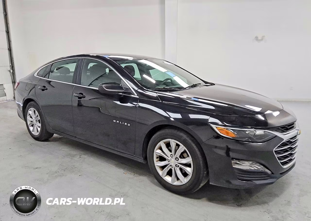 2019 Chevrolet Malibu Lt VIN:1G1ZD5ST6KF155189 - 4
