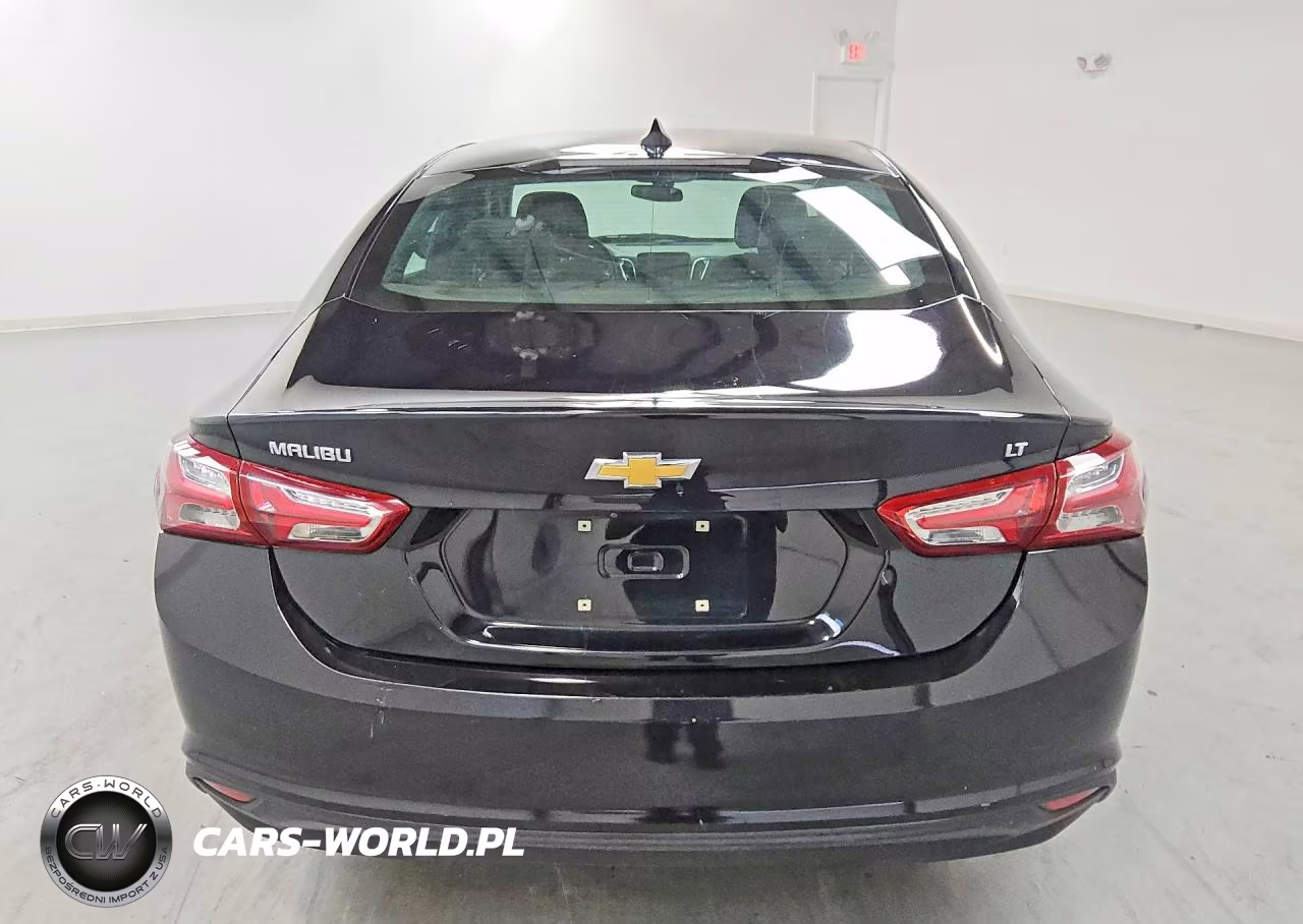 2019 Chevrolet Malibu Lt VIN:1G1ZD5ST6KF155189 - 6