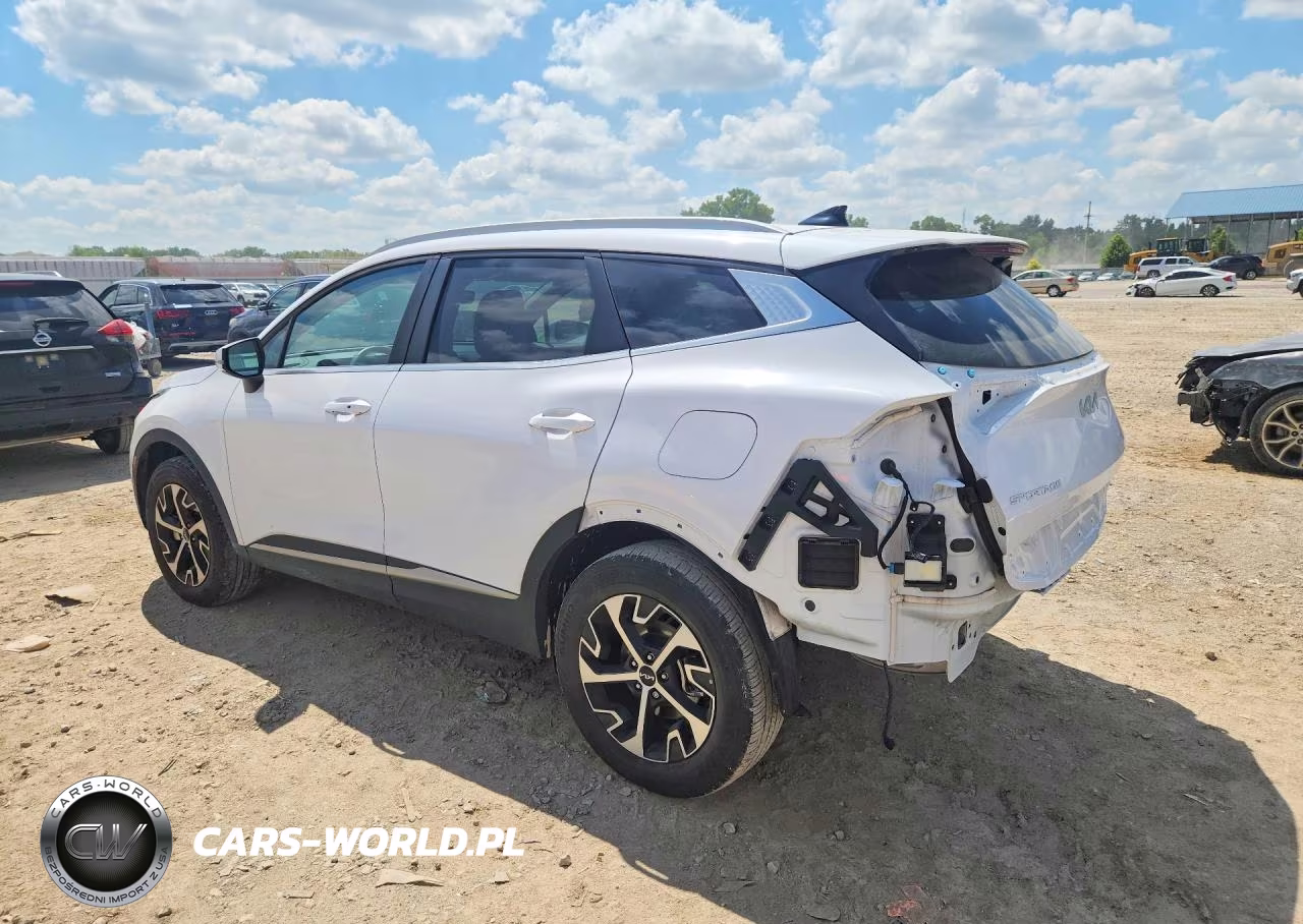 2024 Kia Sportage Ex VIN:5XYK3CDFXRG193619 - 2