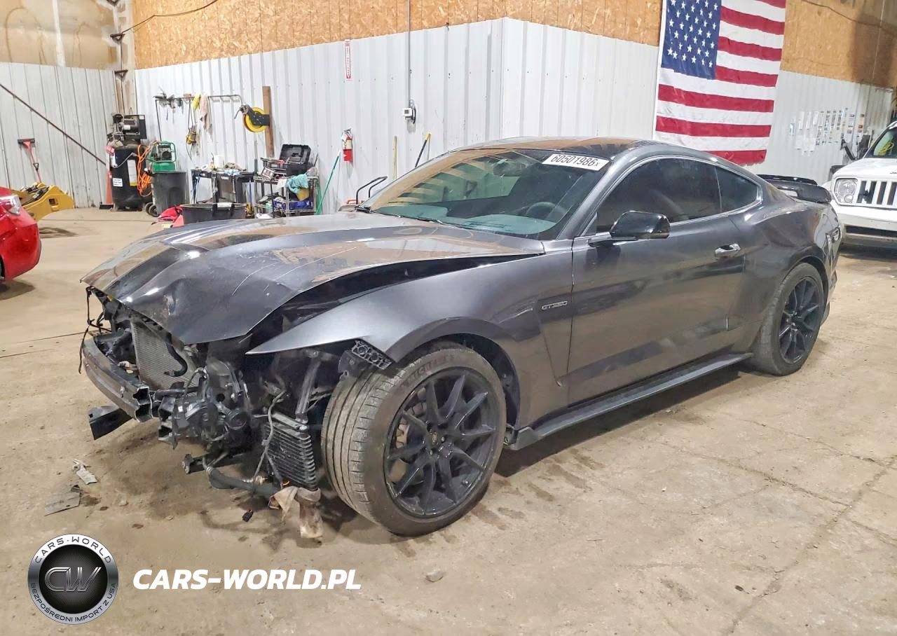 2019 Ford Mustang Shelby Gt350 – zdjęcie 1 z 13