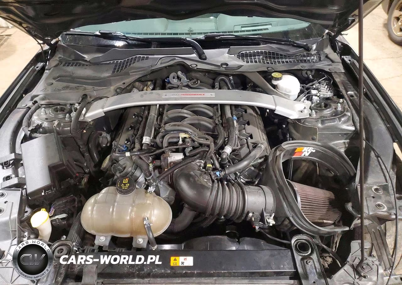 2019 Ford Mustang Shelby Gt350 VIN:1FA6P8JZ2K5550801 - 11